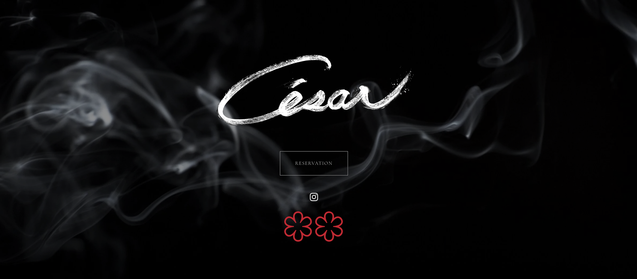 César: Branding &amp; Website Design