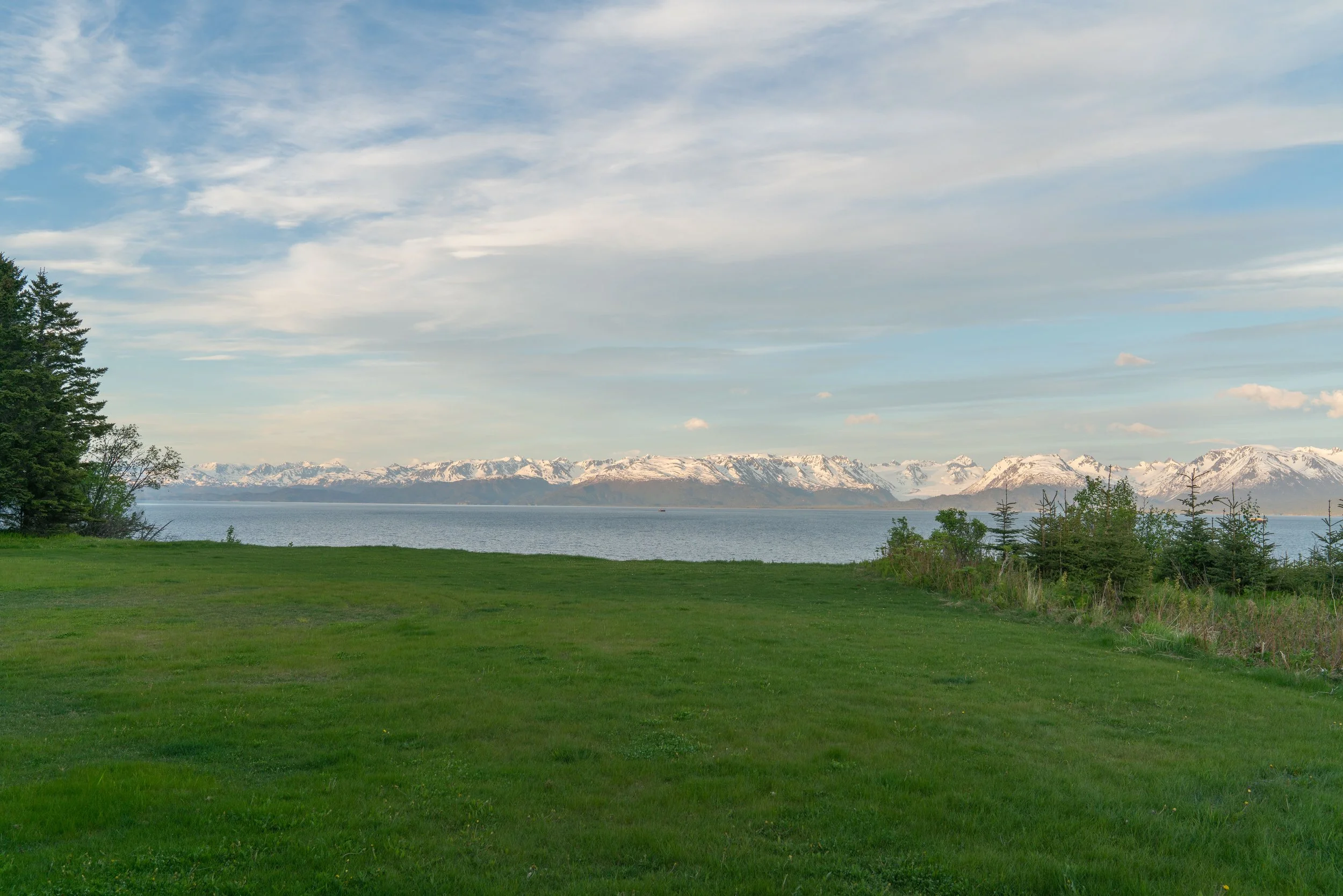 Morris Ave Green House Big (4 of 23).jpg