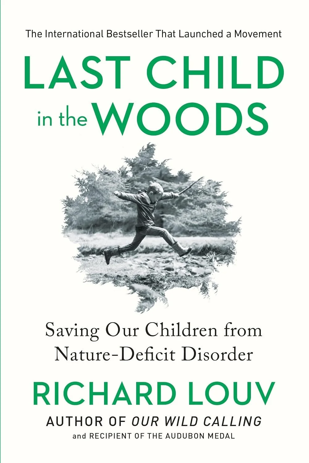 Last Child in the Woods.jpg