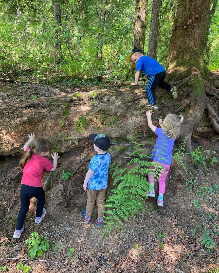 Explorers (3.5 to 6 years) for Independent Children — Wonder & Awe ...