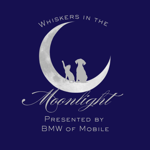 Whiskers in the Moonlight (2).png