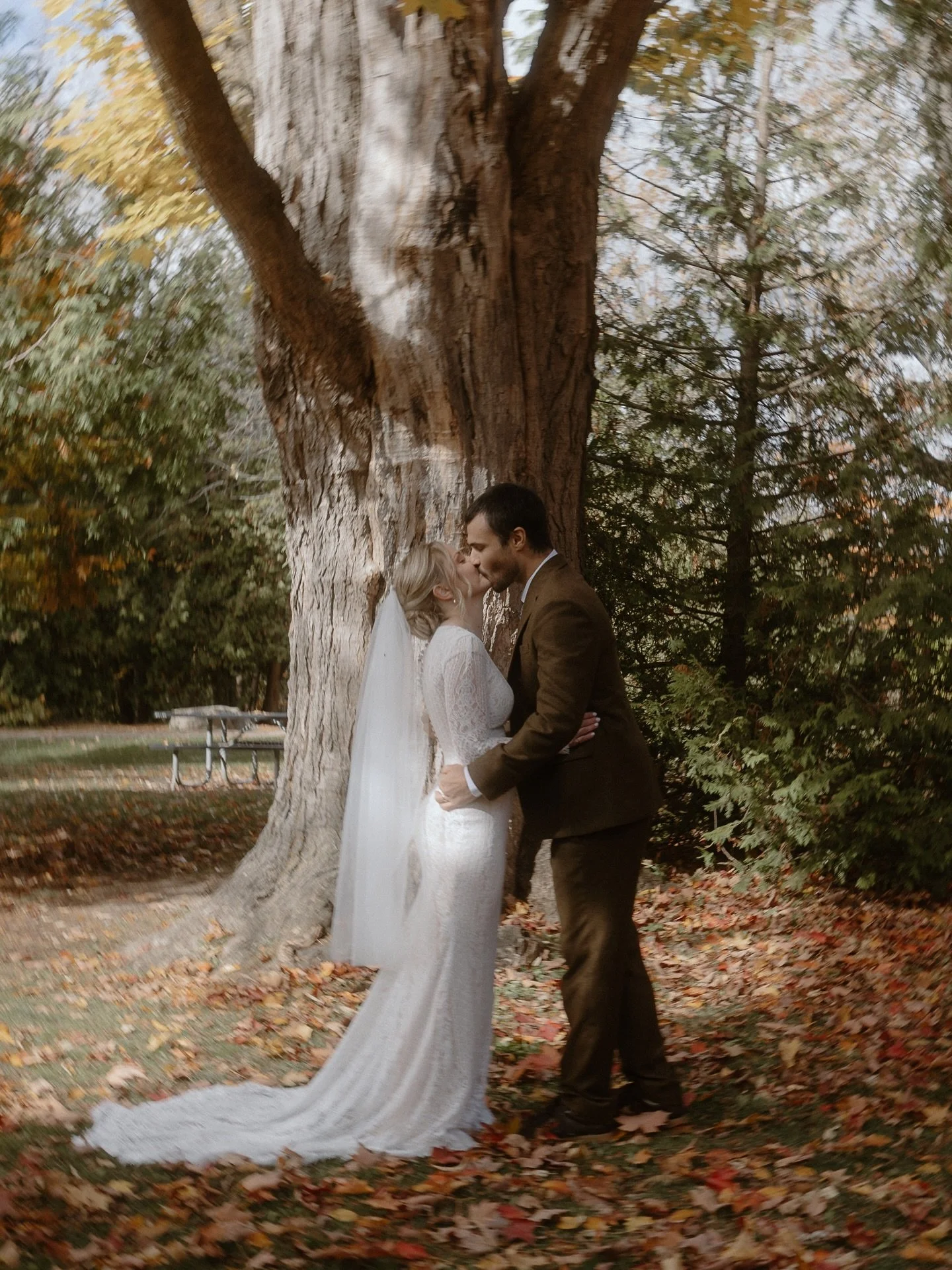 Elopements in Elora &gt;&gt;&gt; ❤️