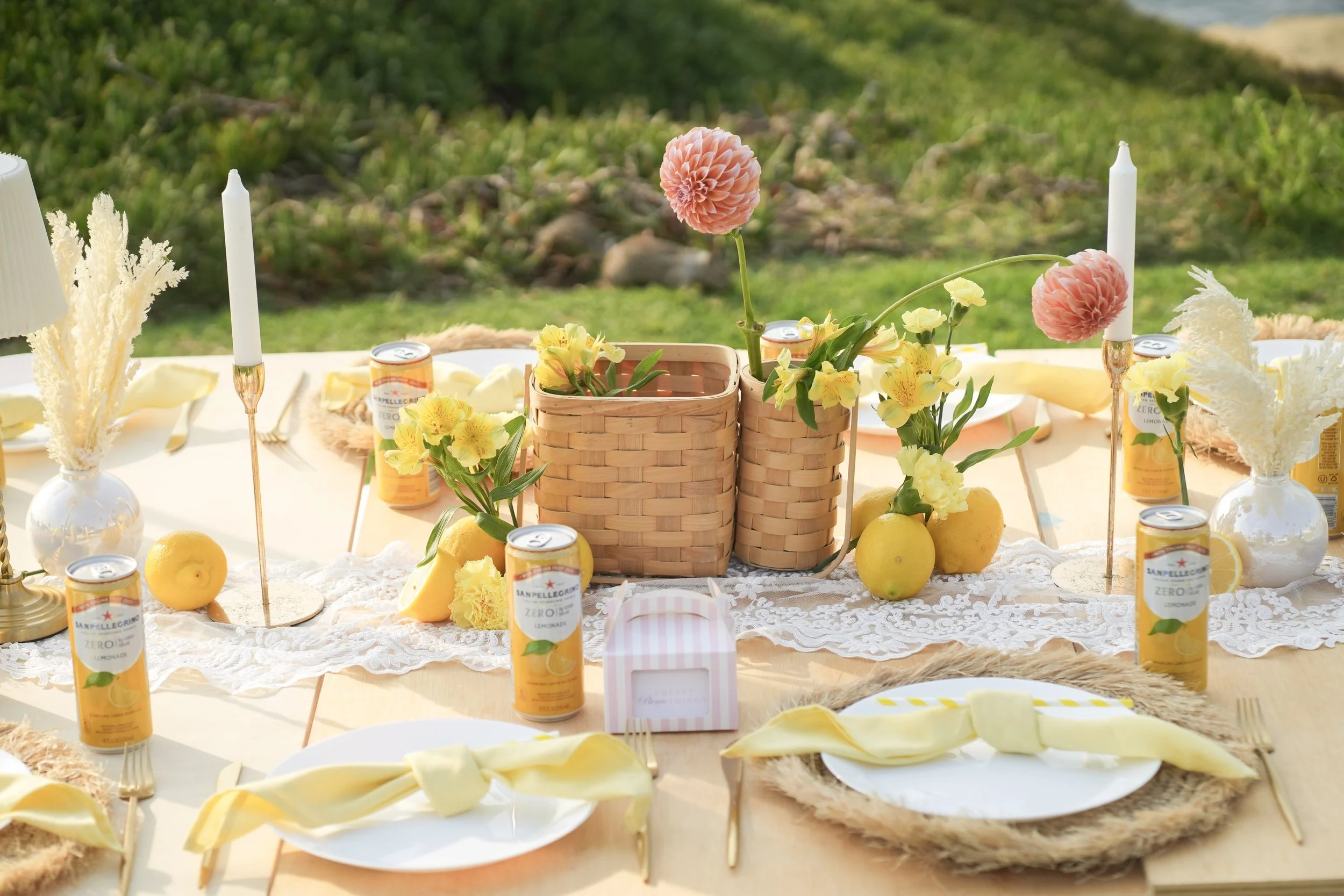 Fruit + Flowers | 2hrs @ $220 includes: pick your fruit! cherries, kiwi, strawberries, you name it. flowers + drink to match. umbrellas, pillows, plates. * lemons in this image + additional guests