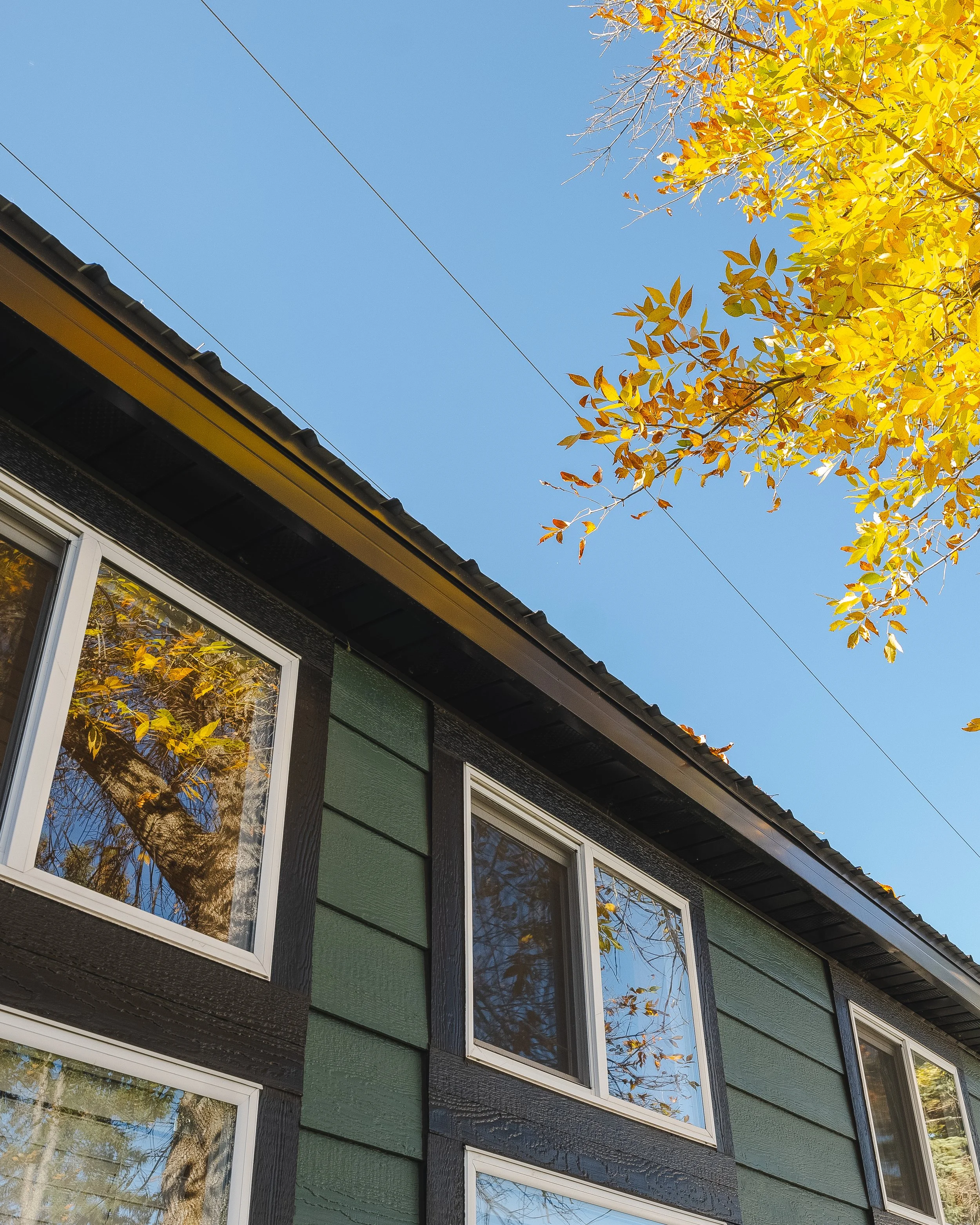 photo of tiny home roof line featuring steel roofing and LP Smart siding