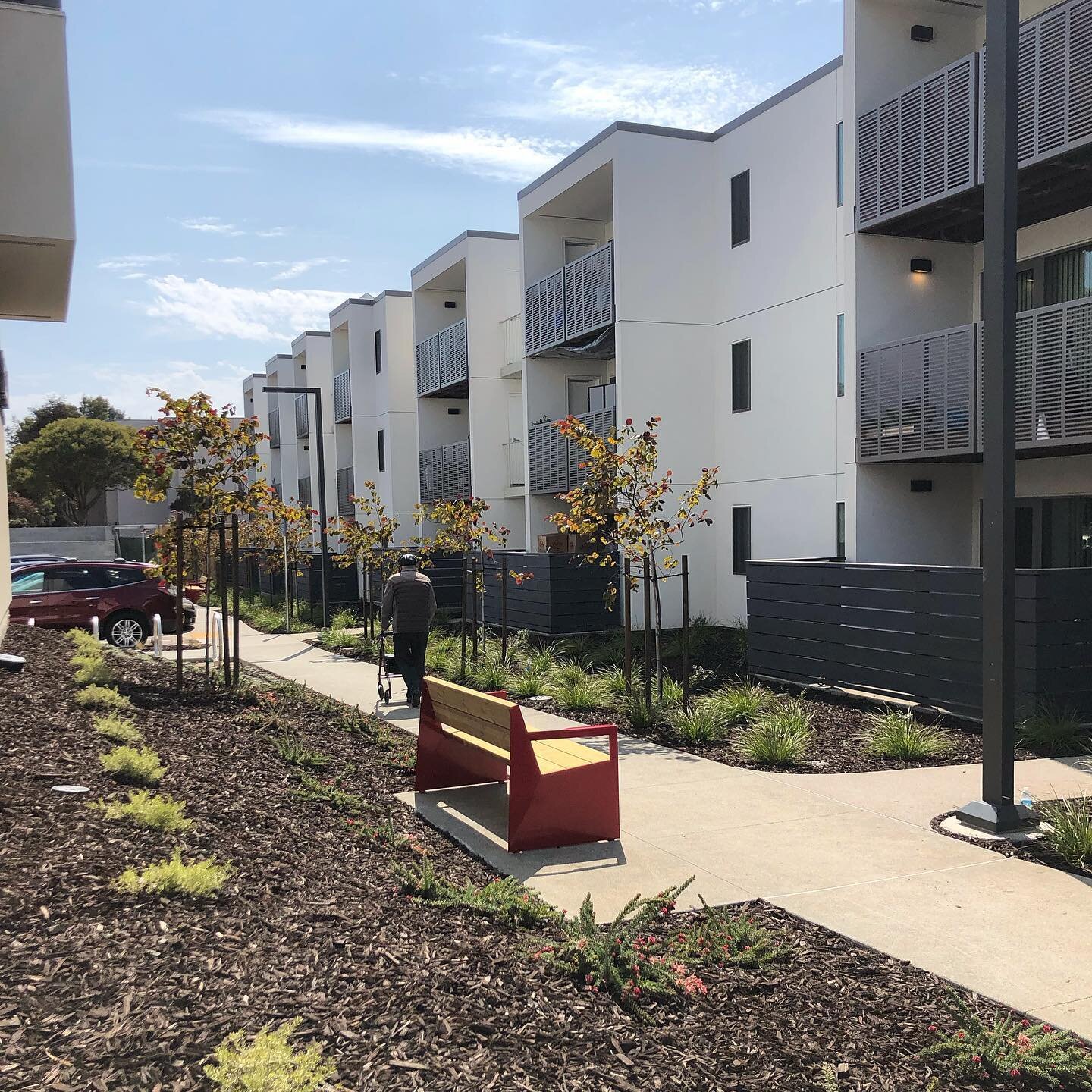 Phase 1 of Frederick Douglas Haynes Housing is almost complete. As an affordable rehab project, we knew the planting would have a dramatic effect on the space. We love this low water-use yet colorful planting palette, which features orange libertia, 