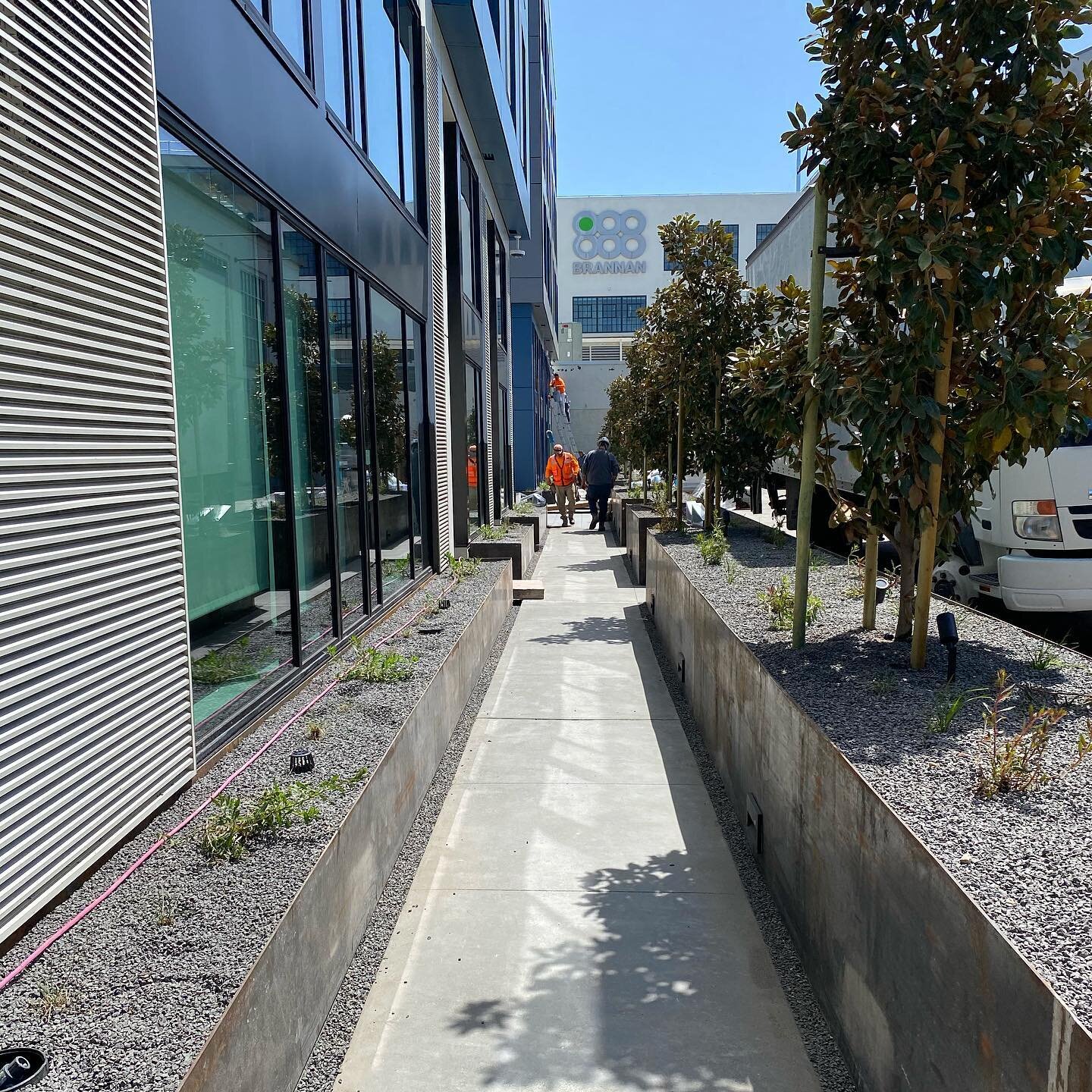 Sometimes it can be a challenge to find space for plants in dense urban streetscapes, but we know vegetative infrastructure helps increase walkability and provides wildlife corridors for important pollinators. Check out these steel planters on podium