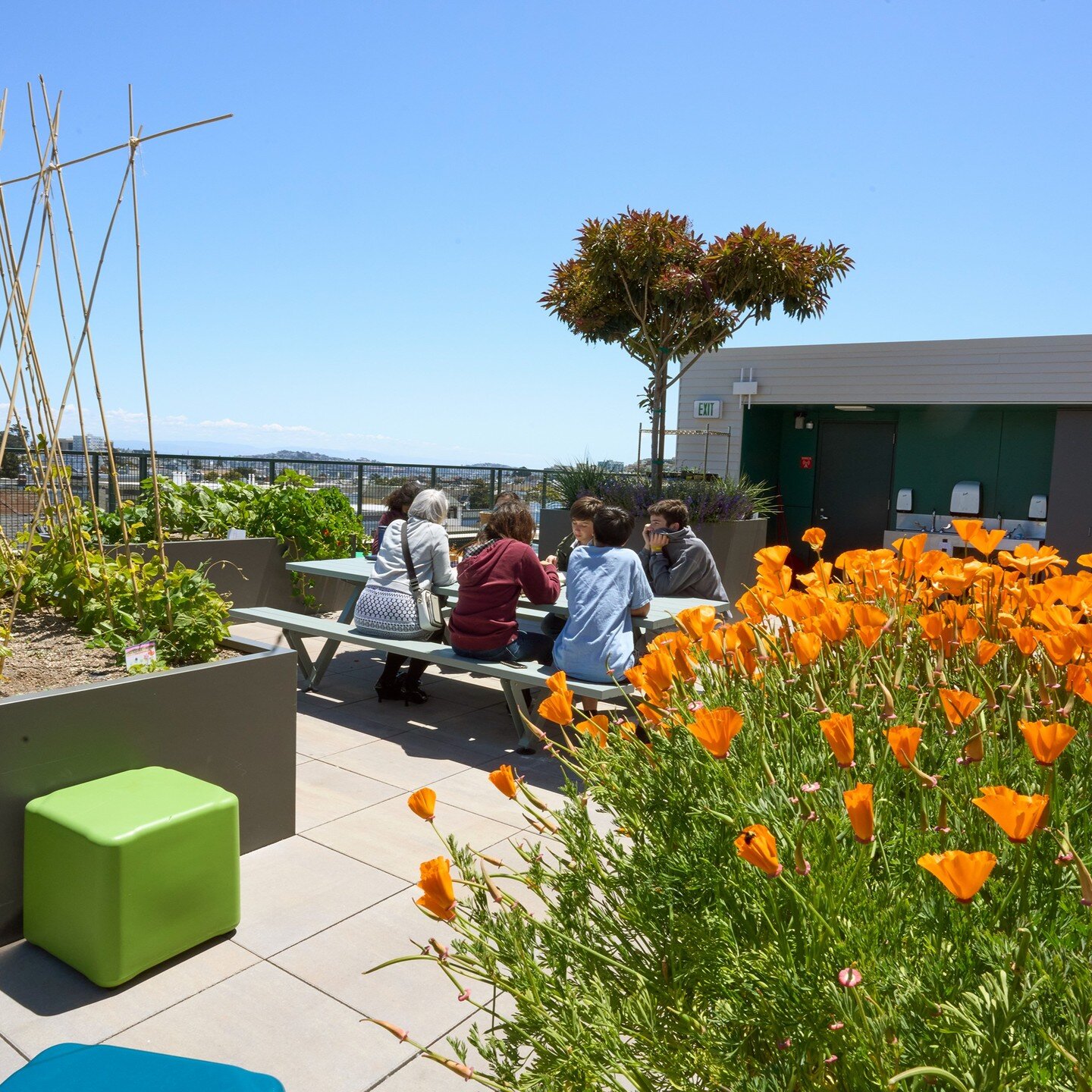 Featuring beautiful views of the surrounding city, the new garden roof terrace at San Francisco Day School provides outdoor classroom space for students to grow their own vegetables and learn in a hands-on environment. We are thrilled to see the gard