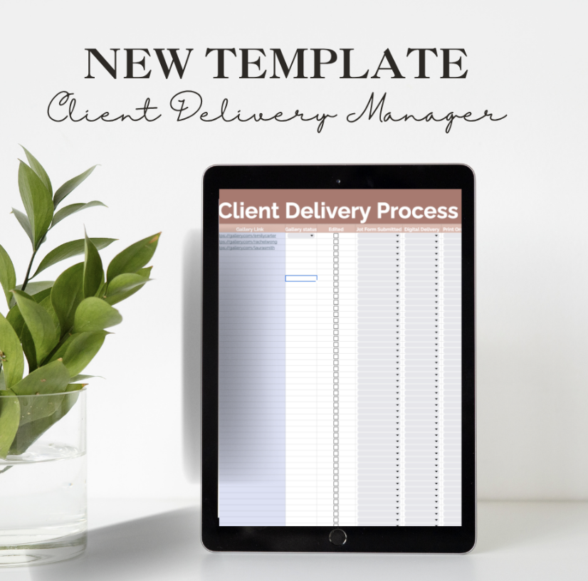 Client Delivery Process Workflow Template for Photographers