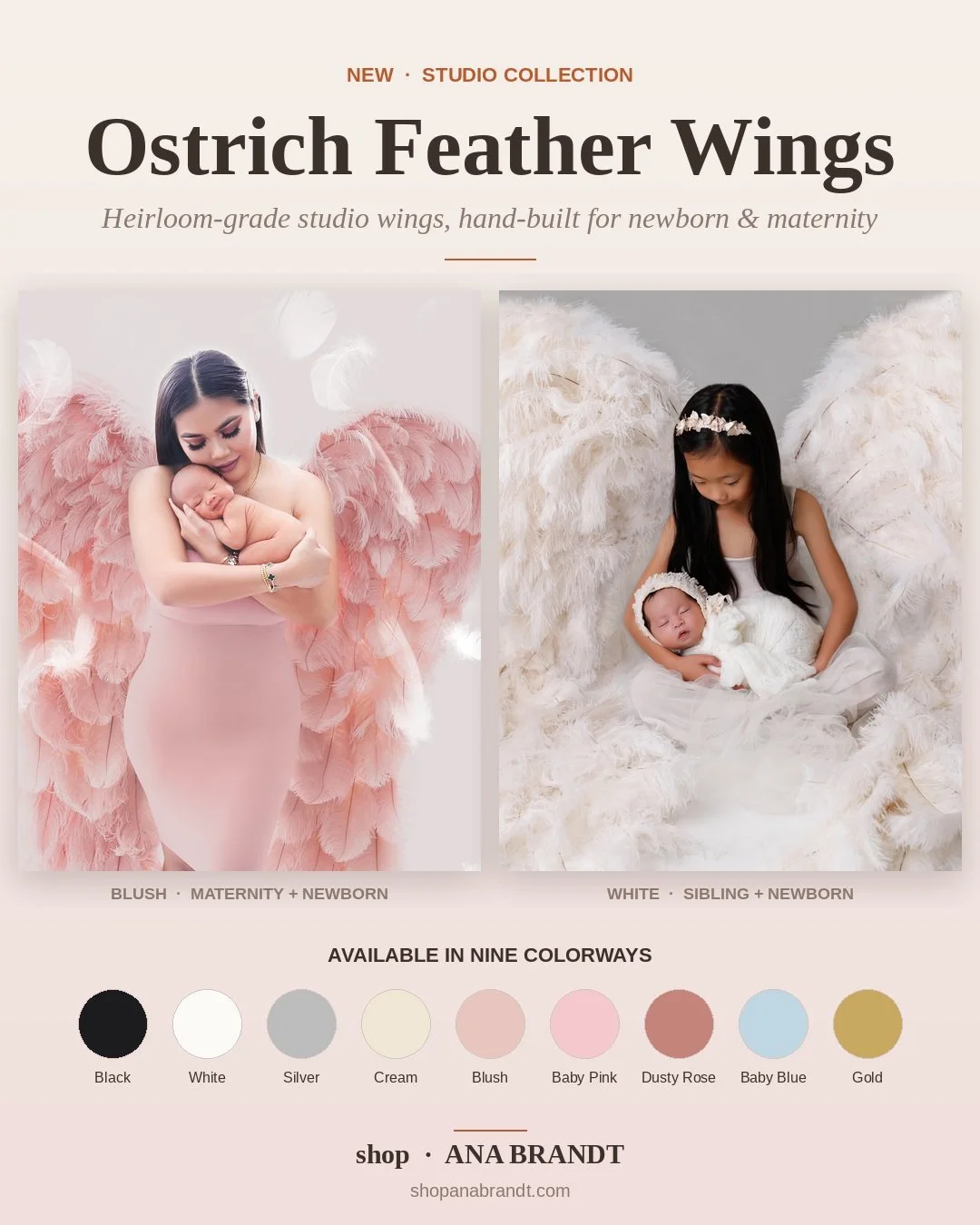 ostrich-wings-promo.jpg