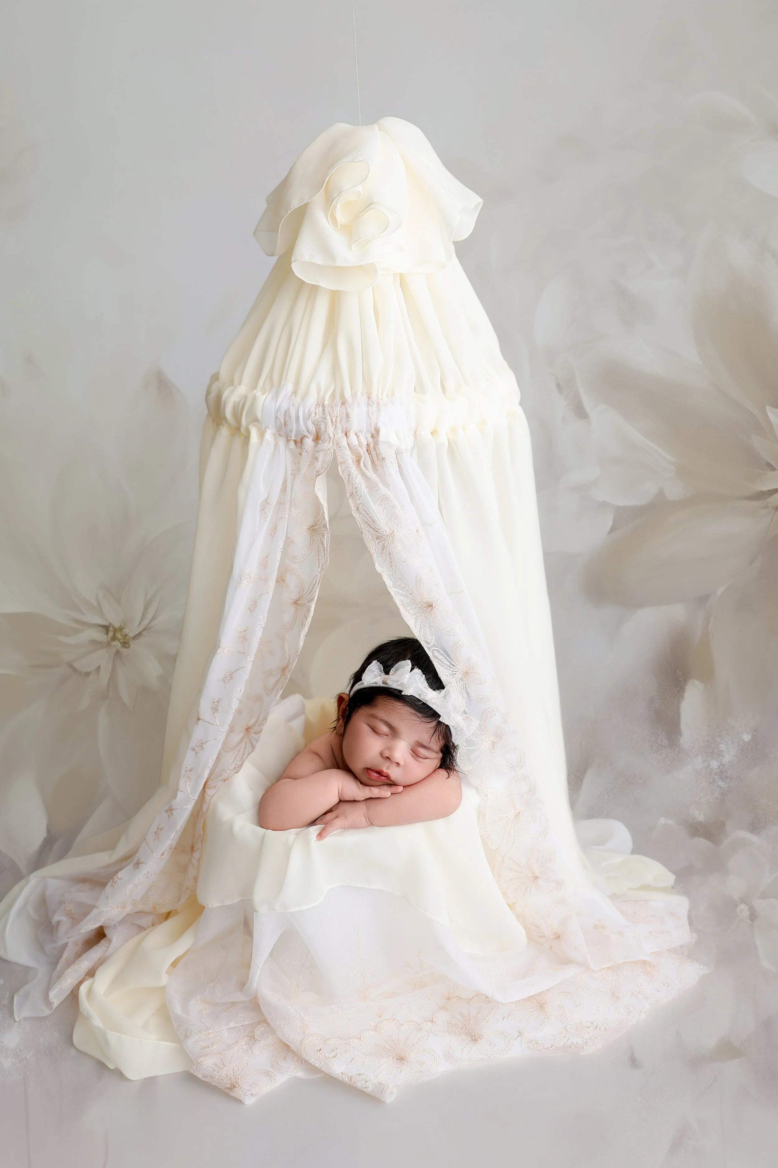 Newborn canopy set