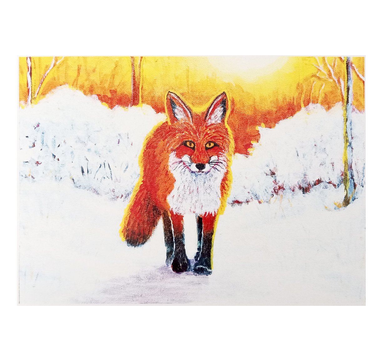 Winter Fox small with border.jpg