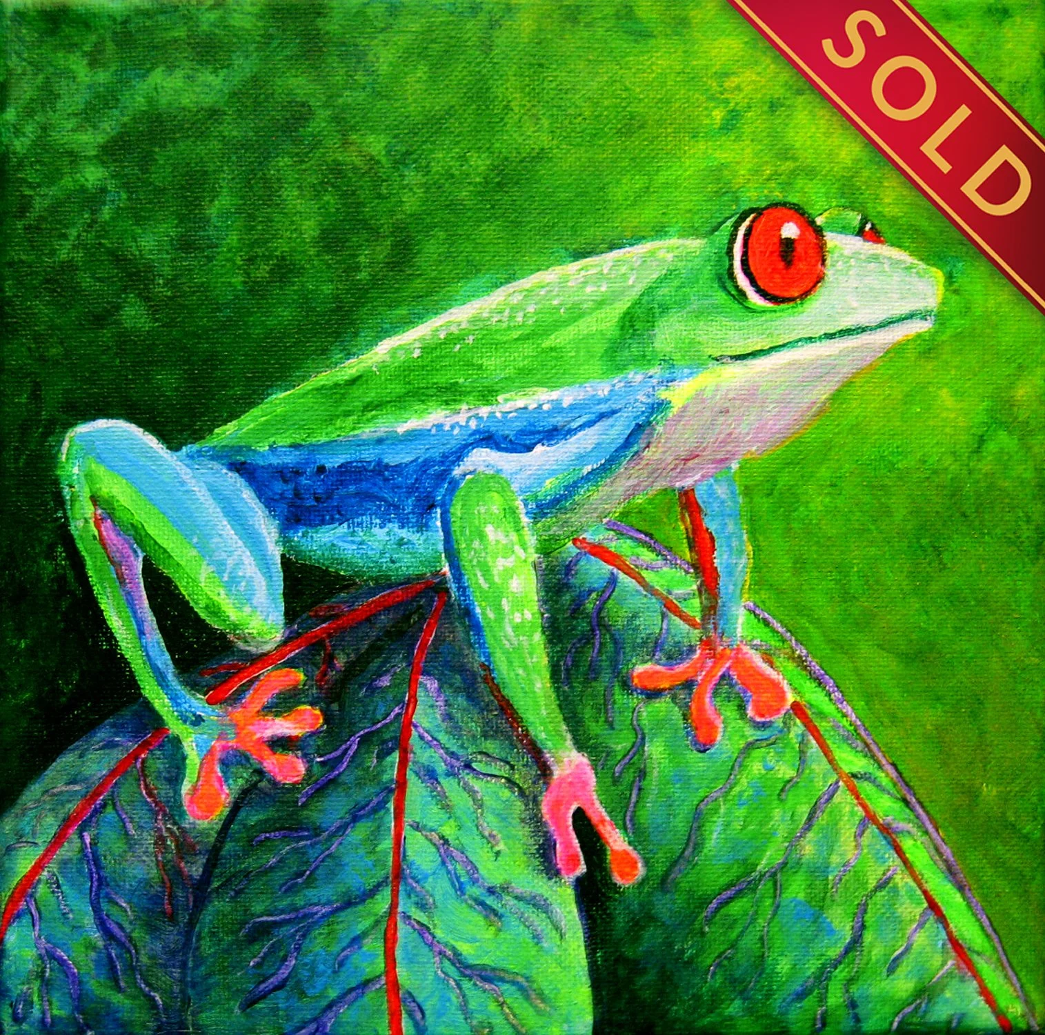 "Red-Eyed Tree Frog"