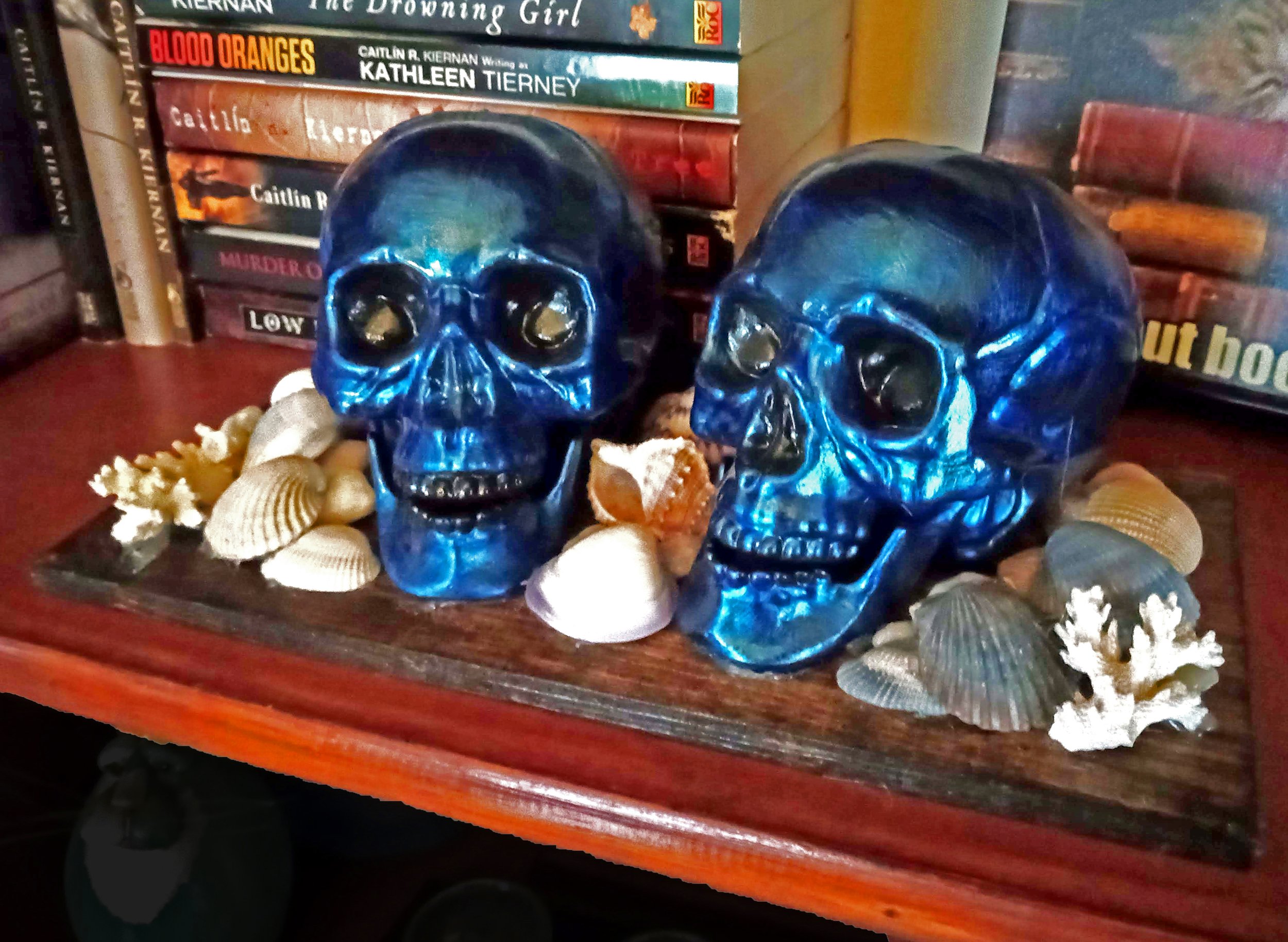 Goth Coastal Two Skull Display on shelf.jpg