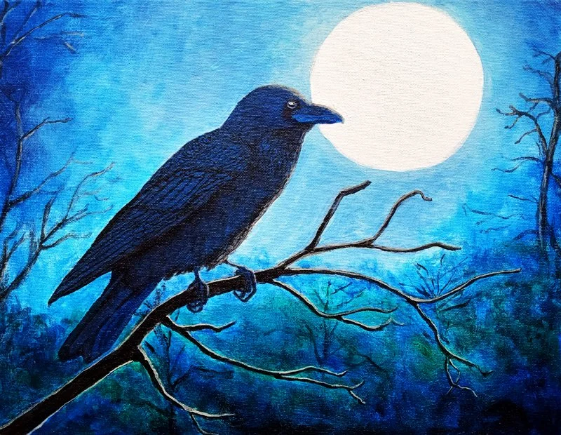 Animals and Birds