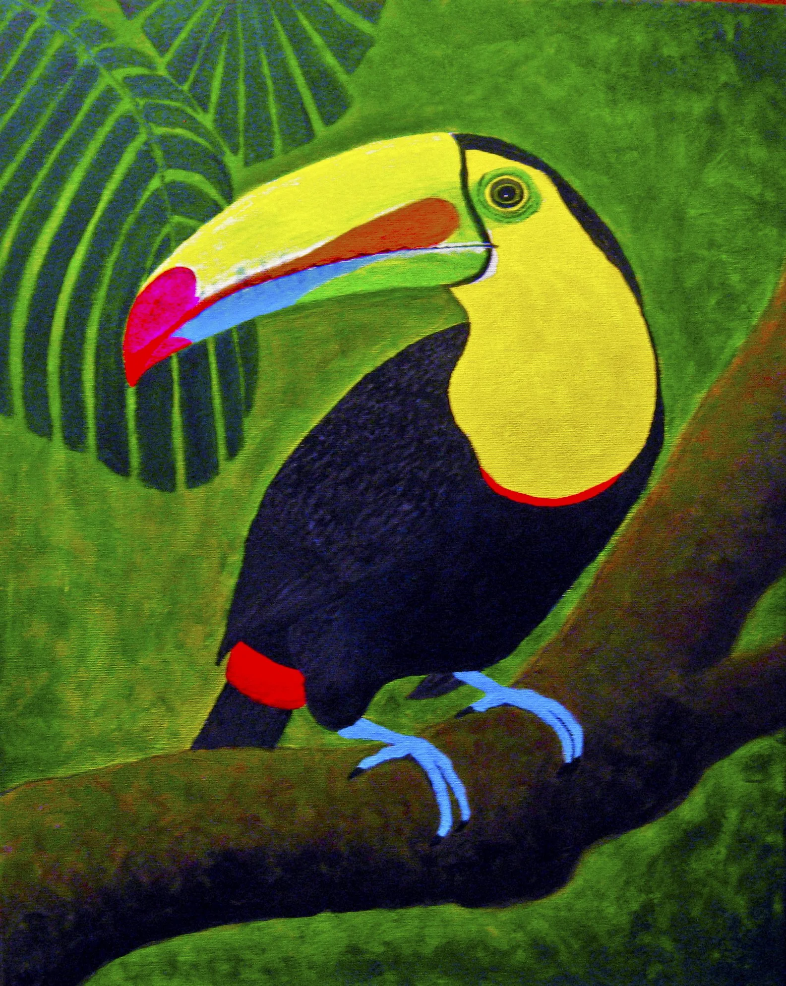 "Keel-Billed Toucan"