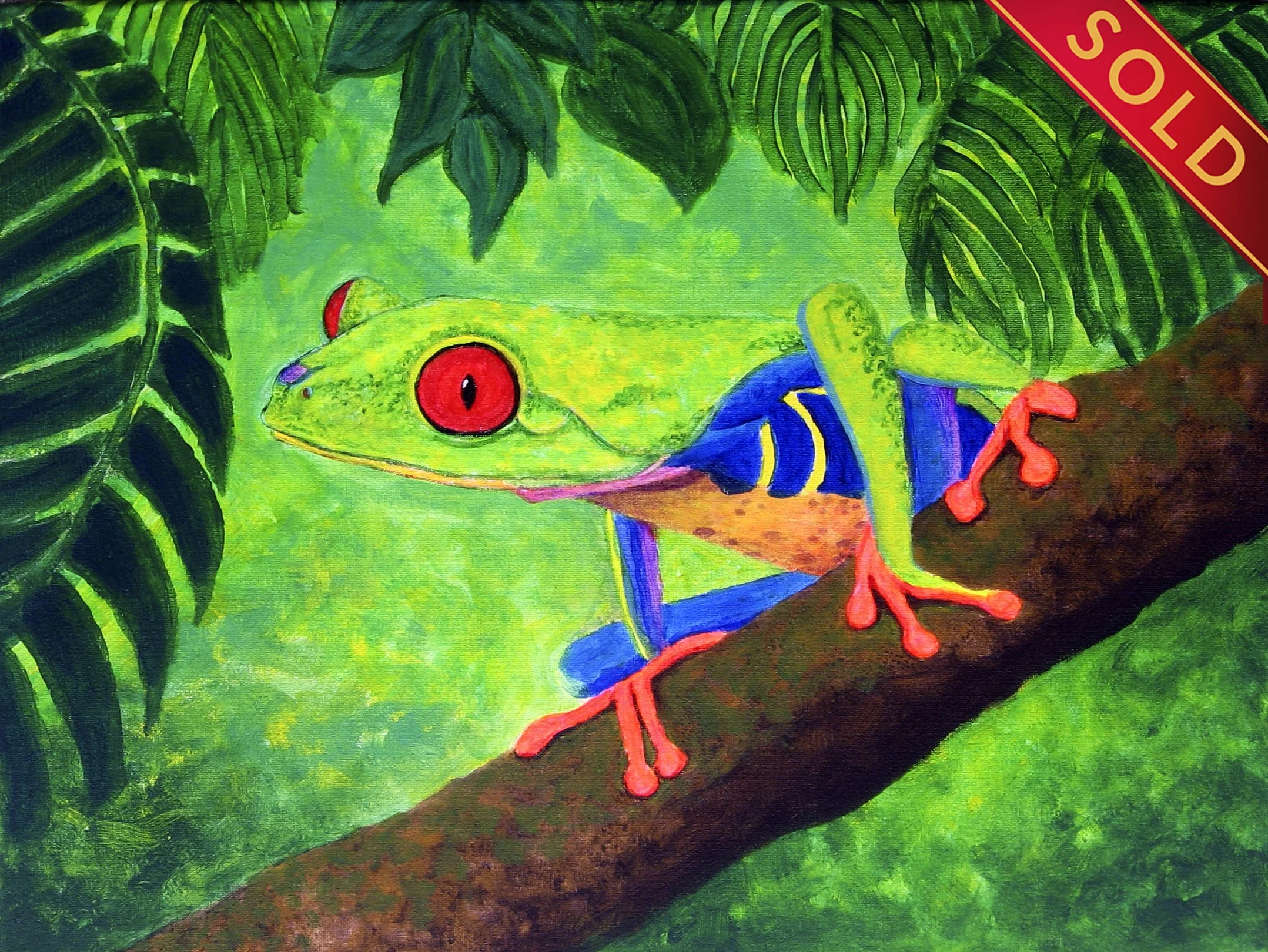 "Tropical Red-Eyed Tree Frog"