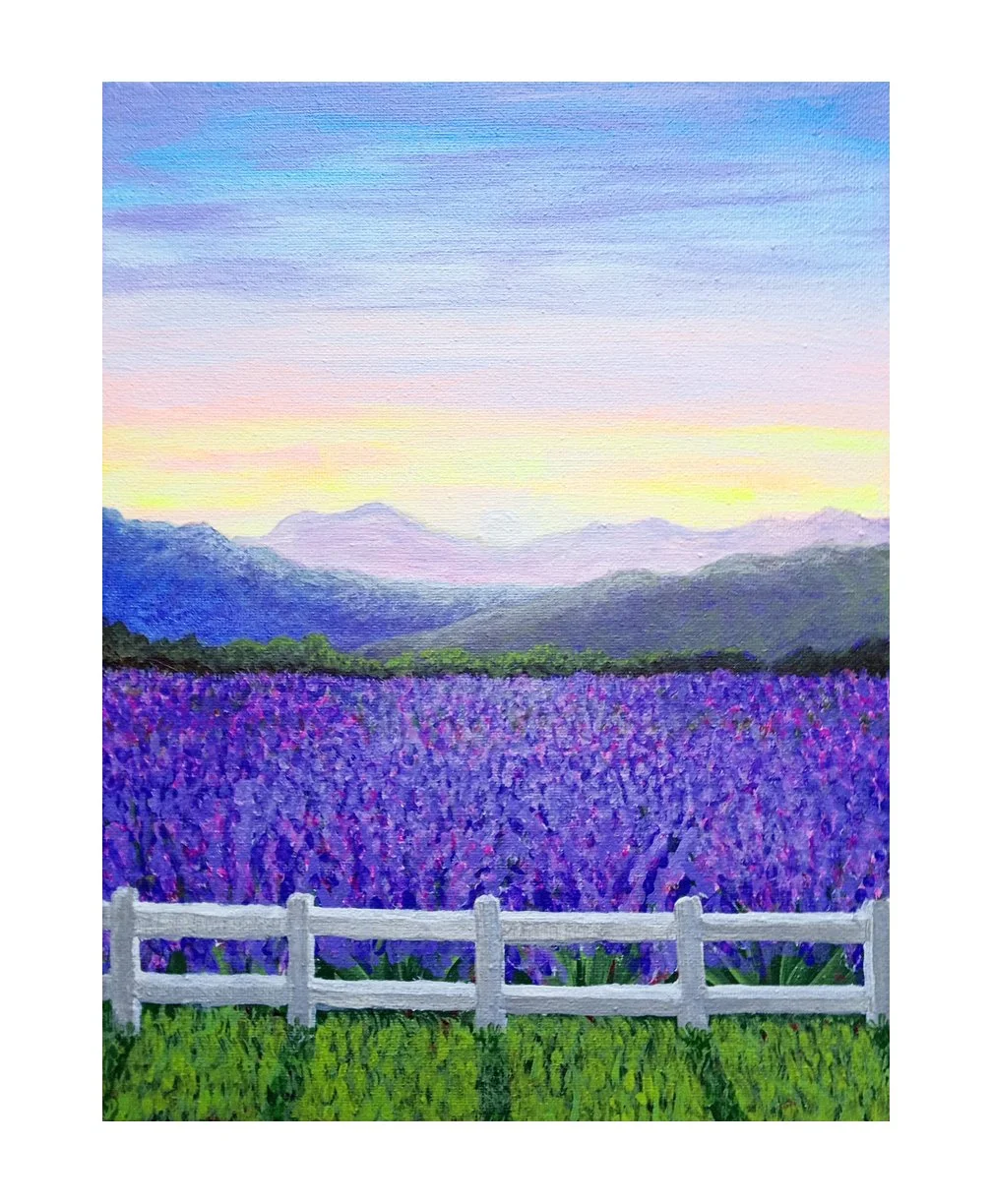 Lavender Field small with border.jpg