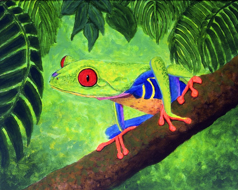"Tropical Red-Eyed Tree Frog"