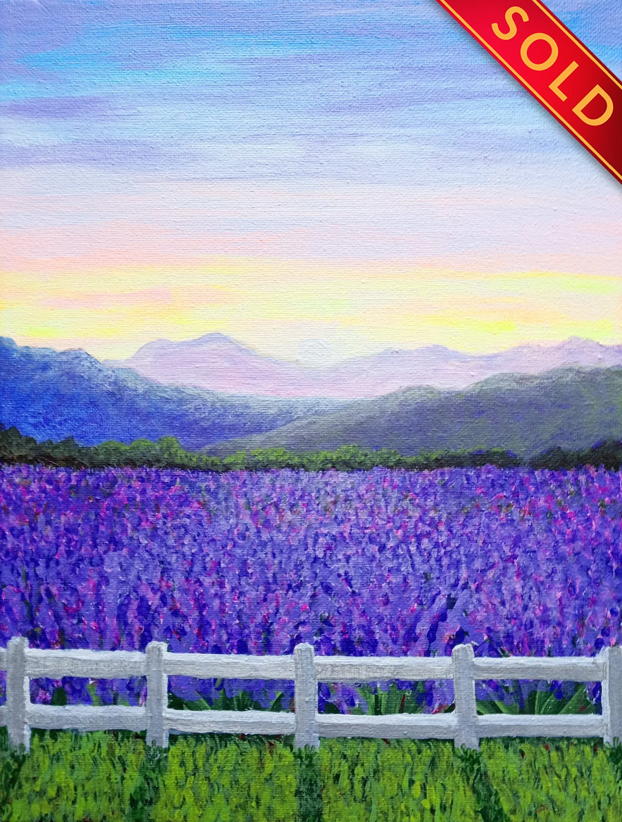 "Lavender Field"