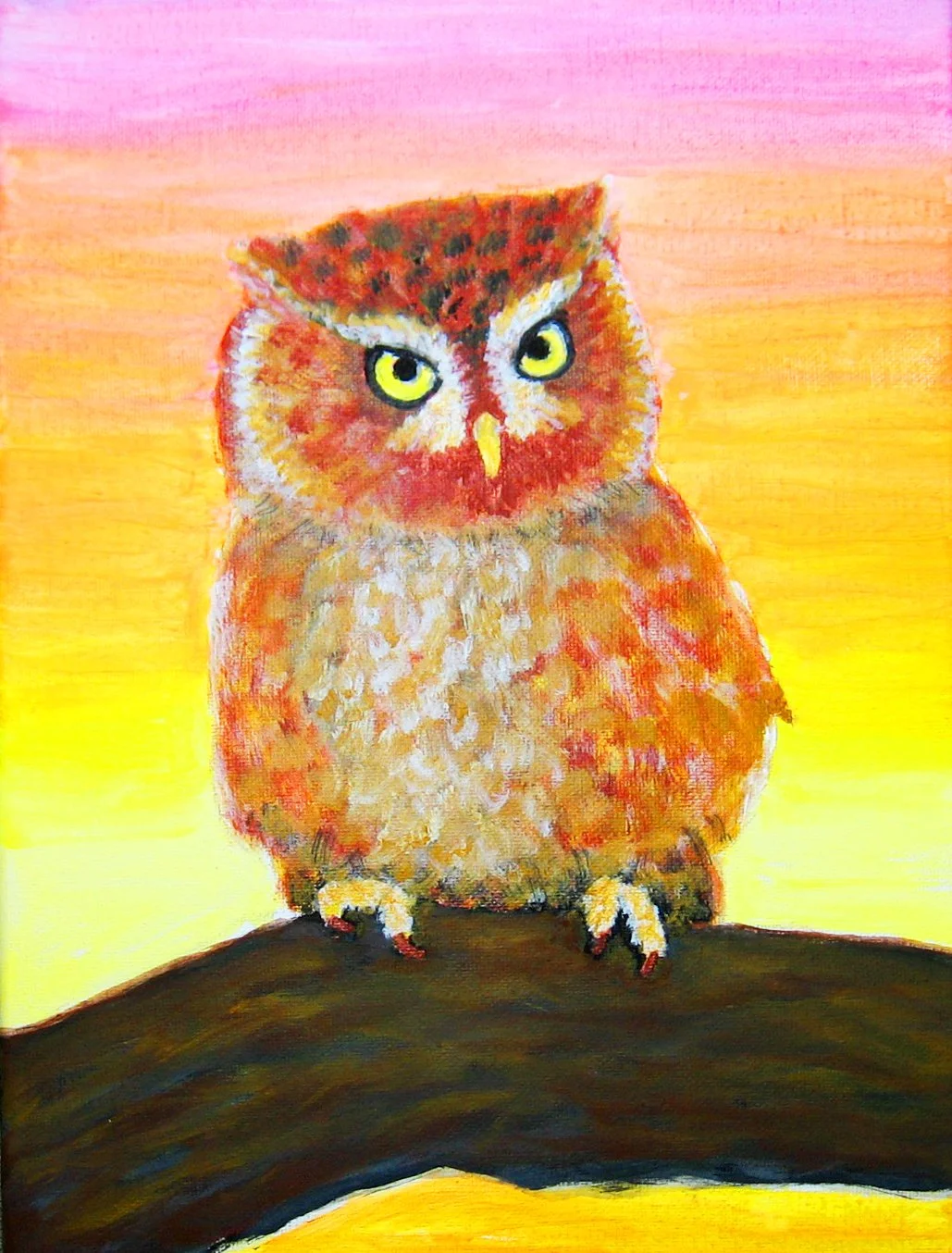 "Eastern Screech Owl"