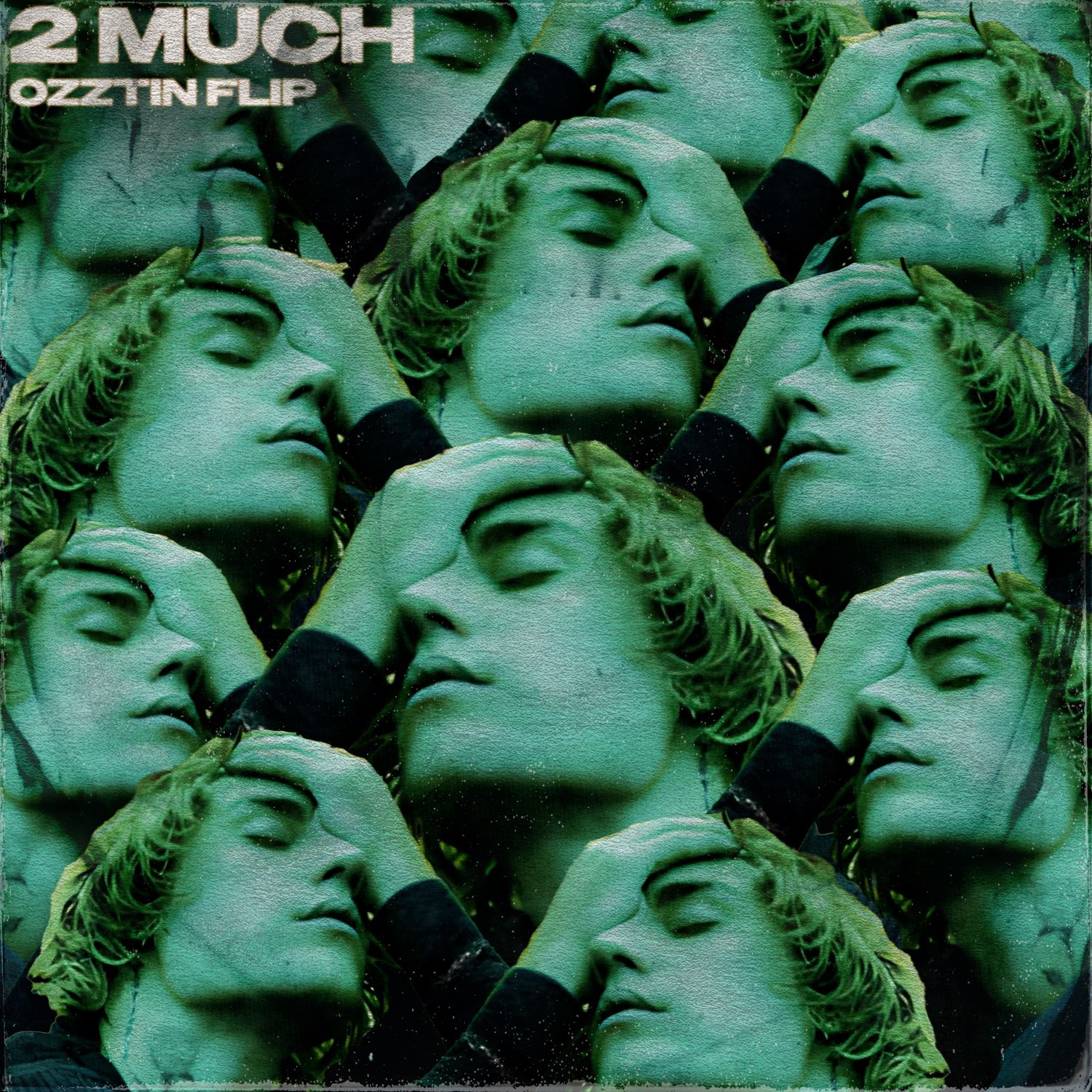 2 much cover.jpg