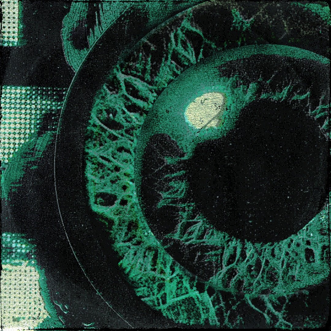 Lookin Cover 8_FX.jpg