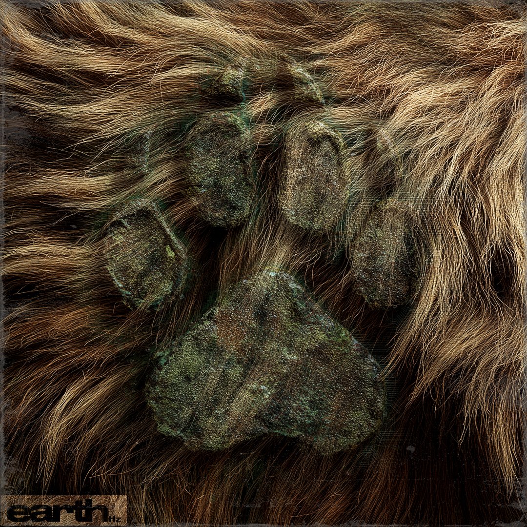 Mystic Grizzly Cover_v2_opt2_v2.jpg