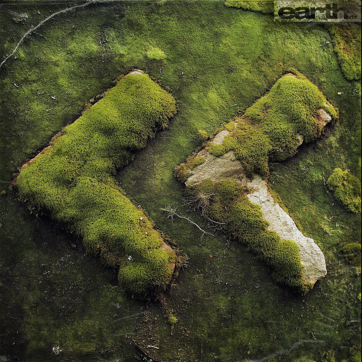 Rewind Cover_higher contrast.jpg