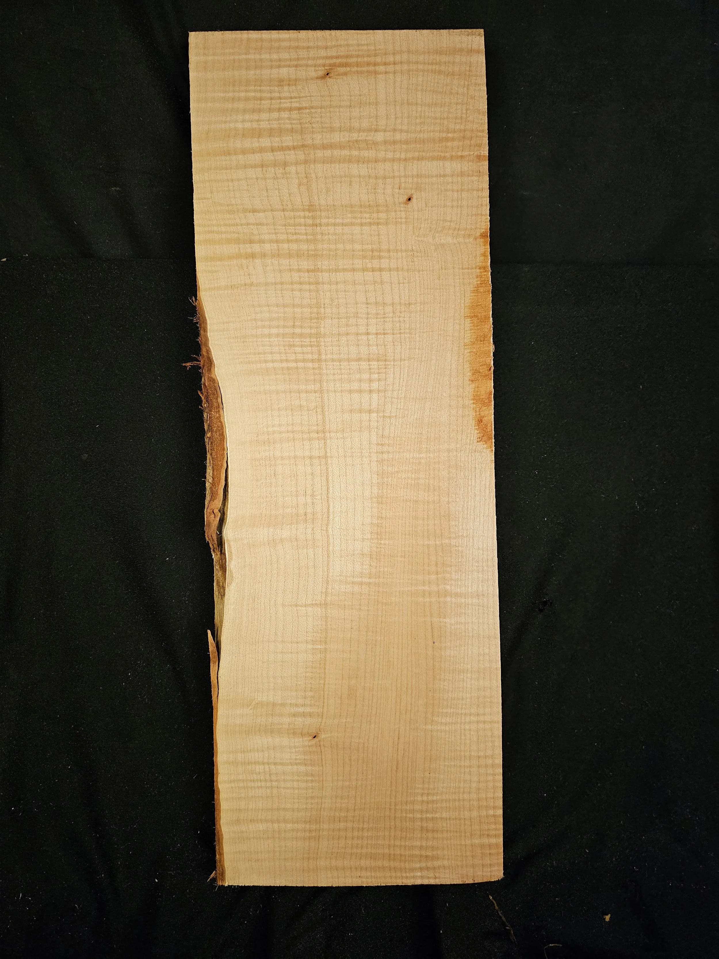 2026-10-08 MMF108.jpg
