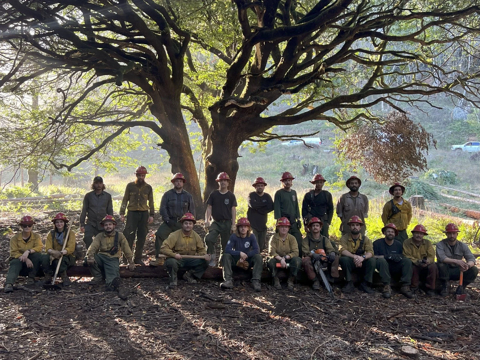 The Coquille tribes fire fire crew . Working hard to keep their forest safe . The Myrtle wood is called the wedding tree . Very old and majestic with it's impressive canopy . It still has decades of life left . We will be cloning this tree to make su