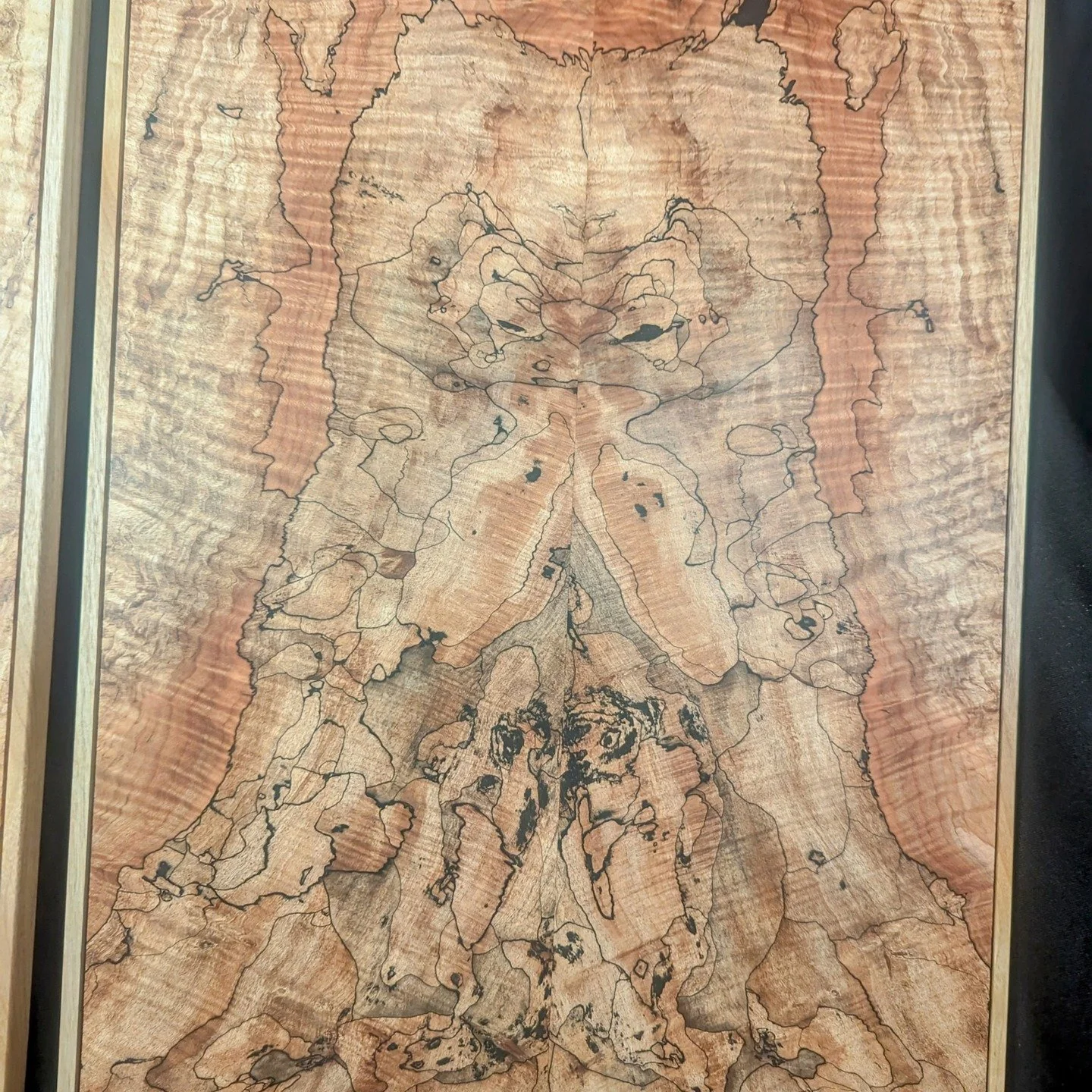 From the Coquille tribal forest . Artwork from the award winning forests of the tribe . There will be 100 more to replace this dying tree thanks to their commitment to future generations . 
Source your wood . If you are investing in wood and you don'