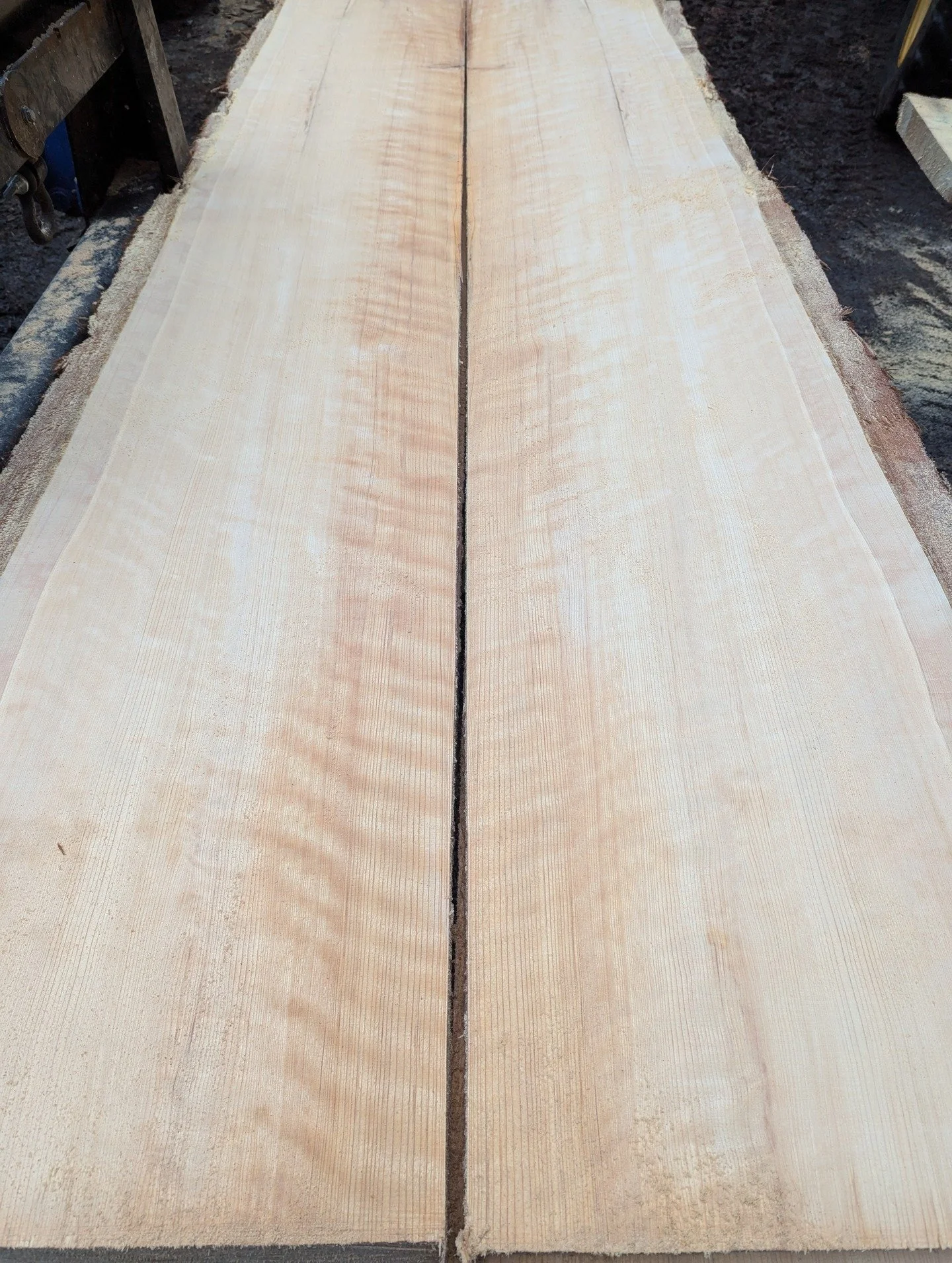 Some nice POC . Quartersawn 21&quot; wide each 10' 4&quot; long 2 1/4&quot; thick &quot; 
100 % FSC. Tight grain quartersawn acoustic blocks as well. 

#wood #sustainable #hardwood #acoustic #fsc #furniturewood