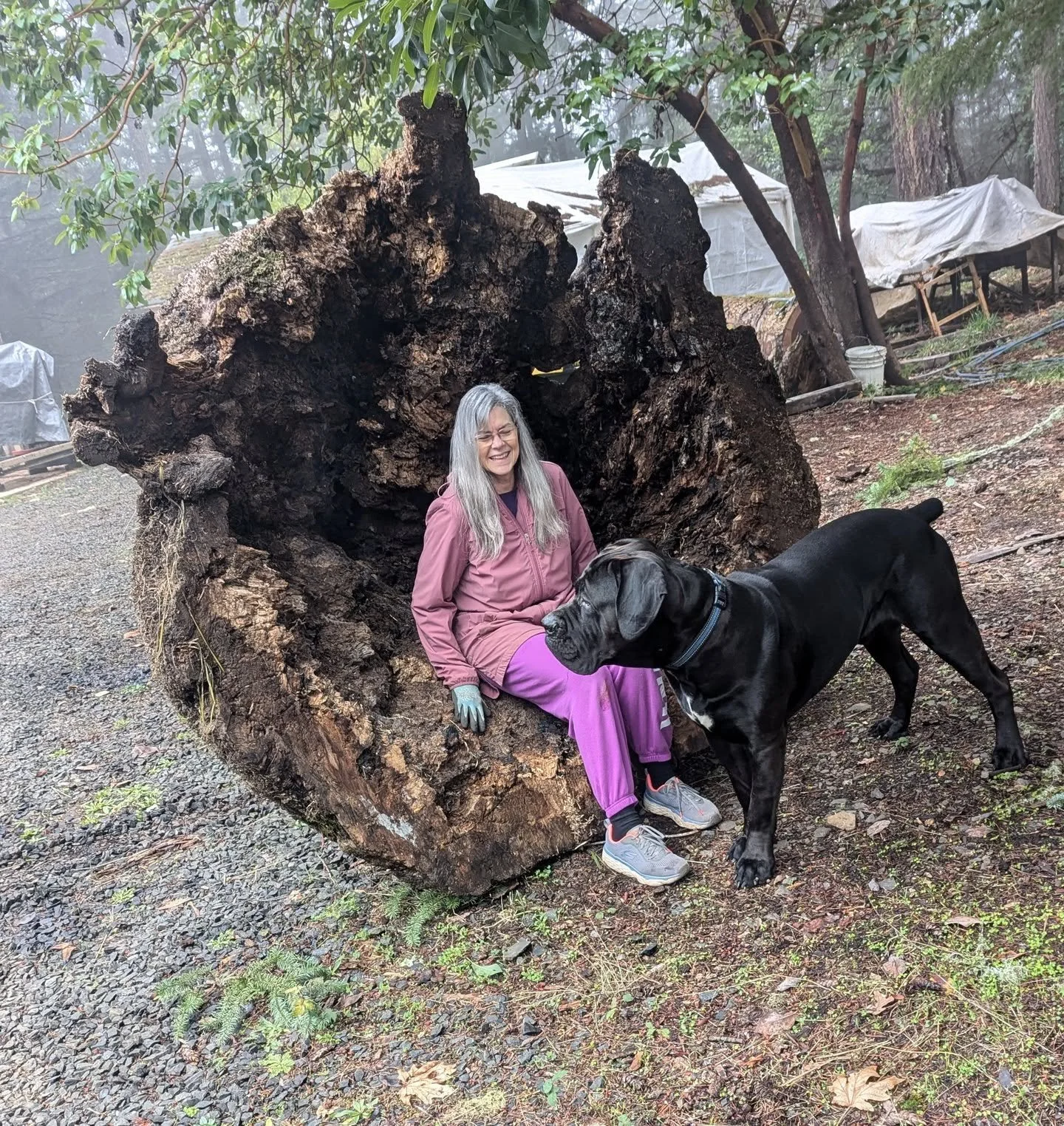 Romeo's birthday today . 3 years old and never more than arms reach away . 
The most important things people need we have and are grateful and we hope it's the same for you . Happy holidays