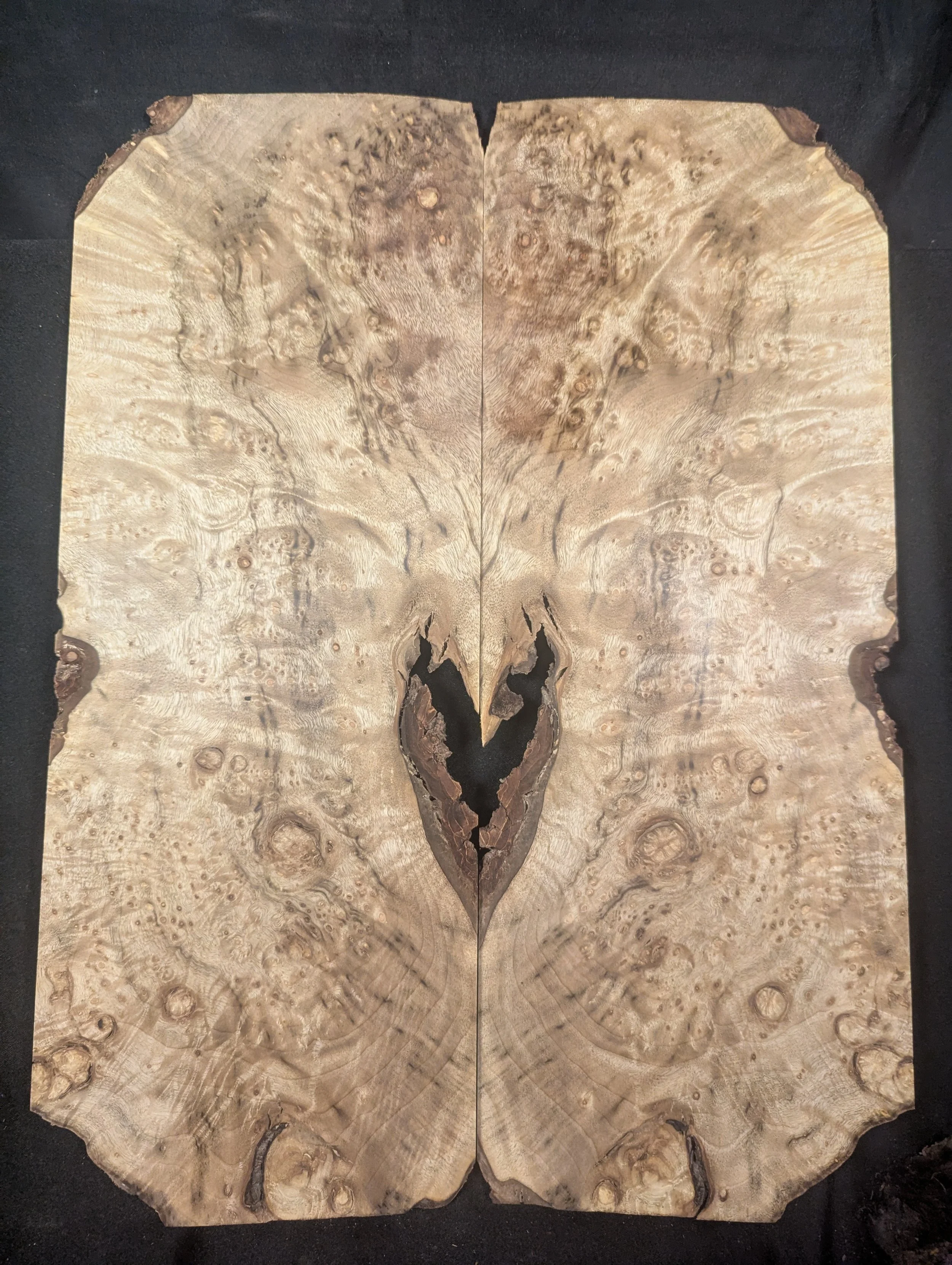 Myrtle Wood Burl Set