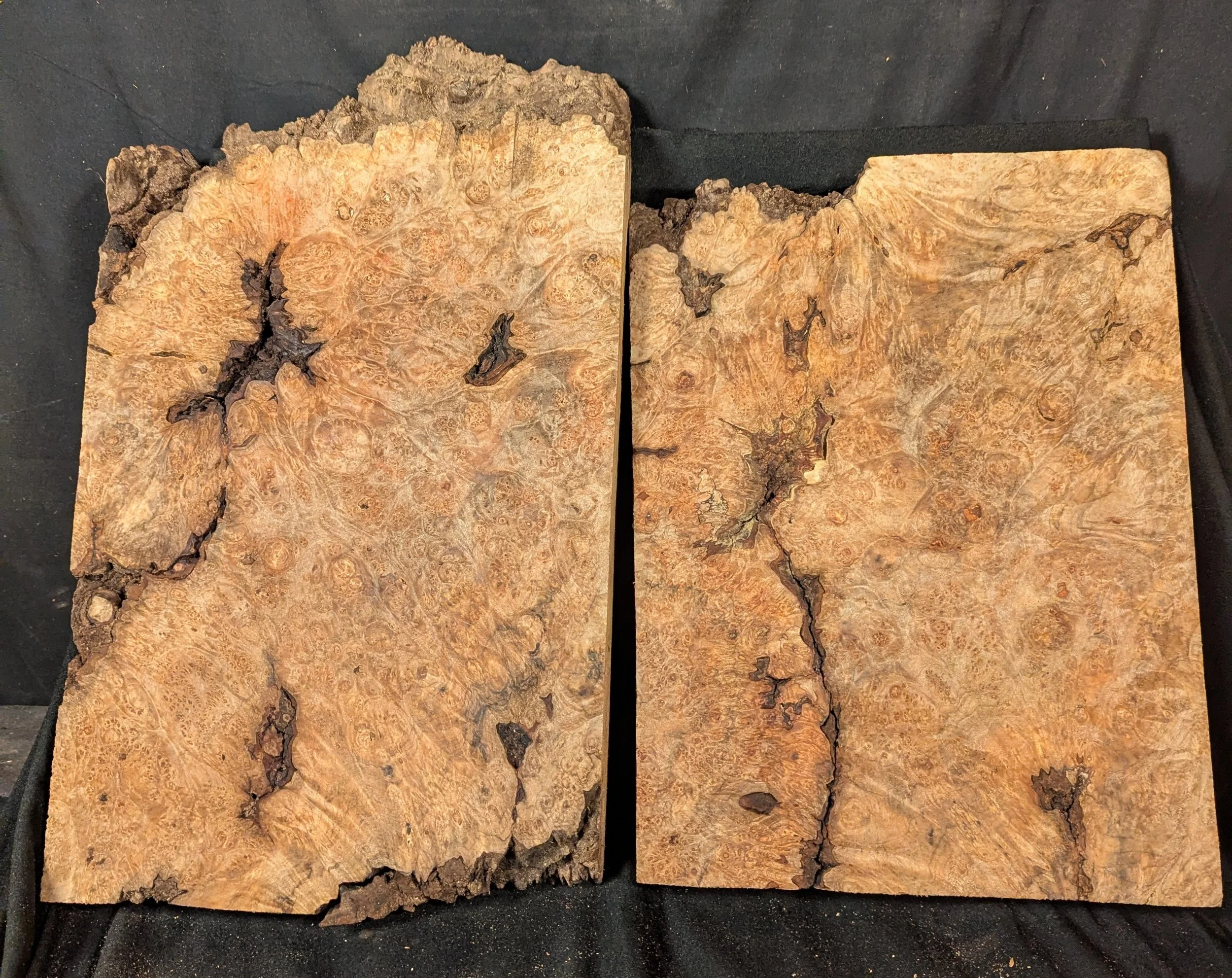 Burl Bundle 2