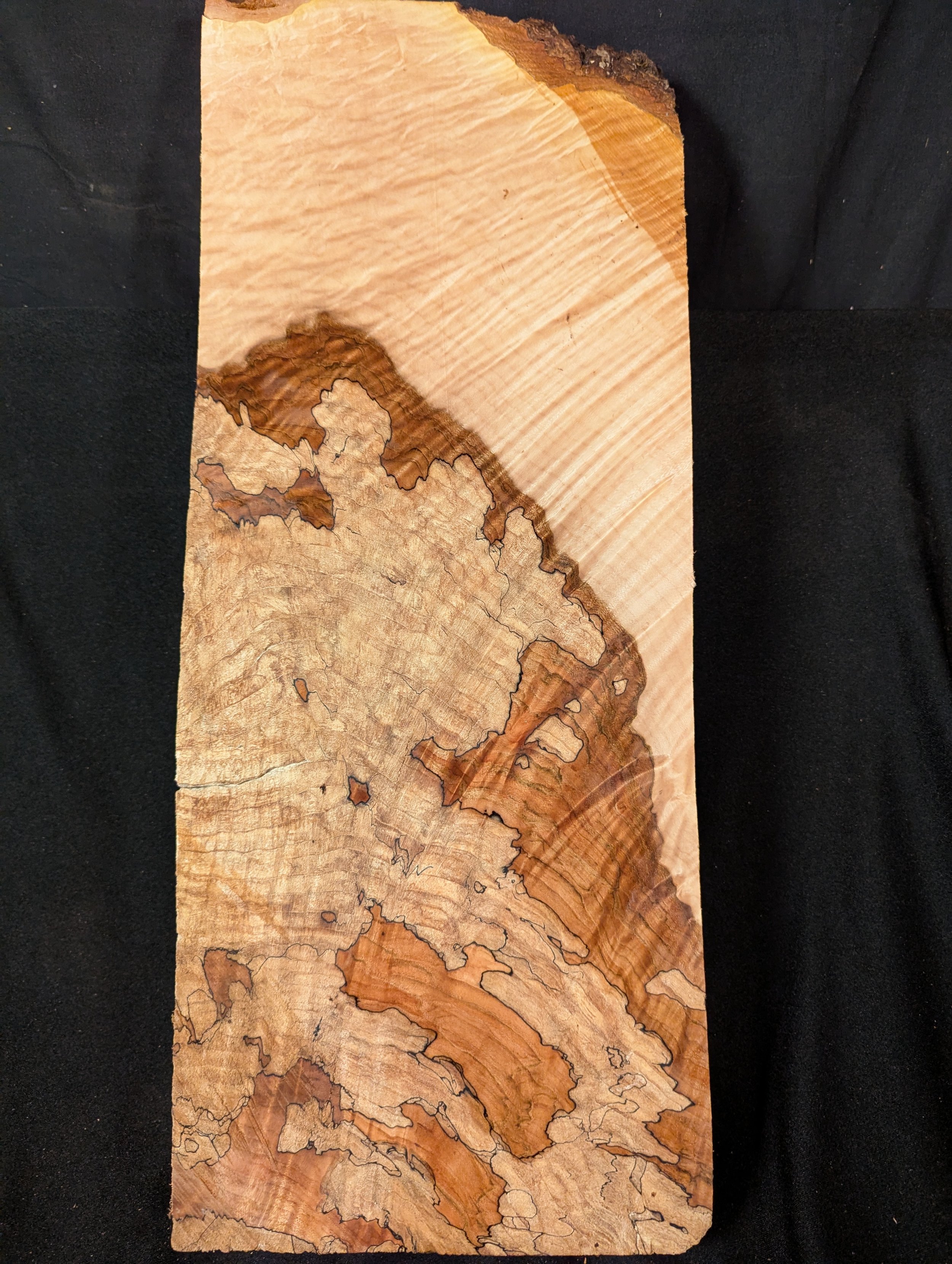 Tribal Spalted Maple Billet