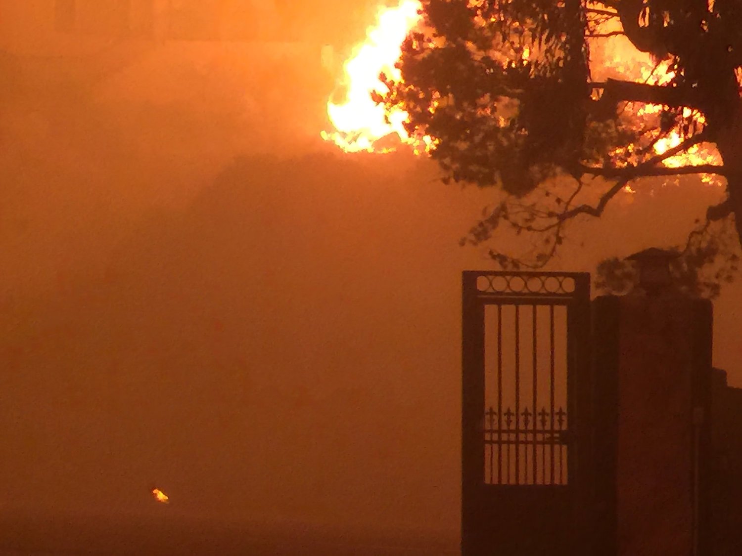 Malibu Fires