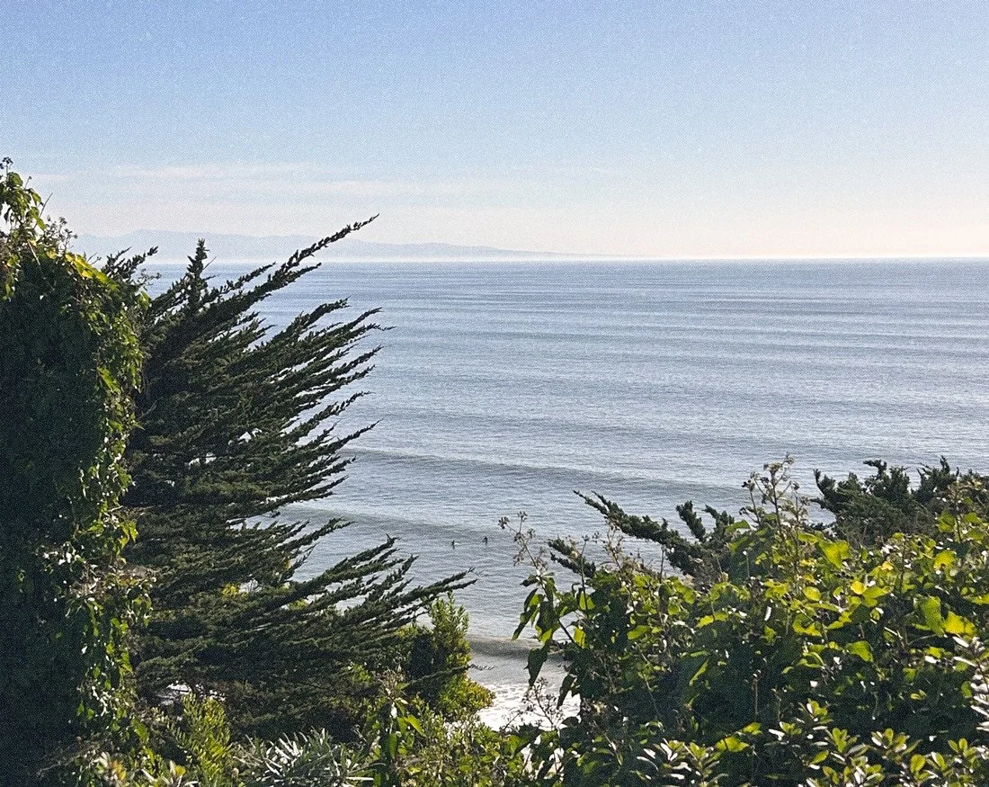 A view of Monterey Bay through some green foliage on a blue sky day. At the bottom, two surfers wait in the ocean to catch an incoming wave.
