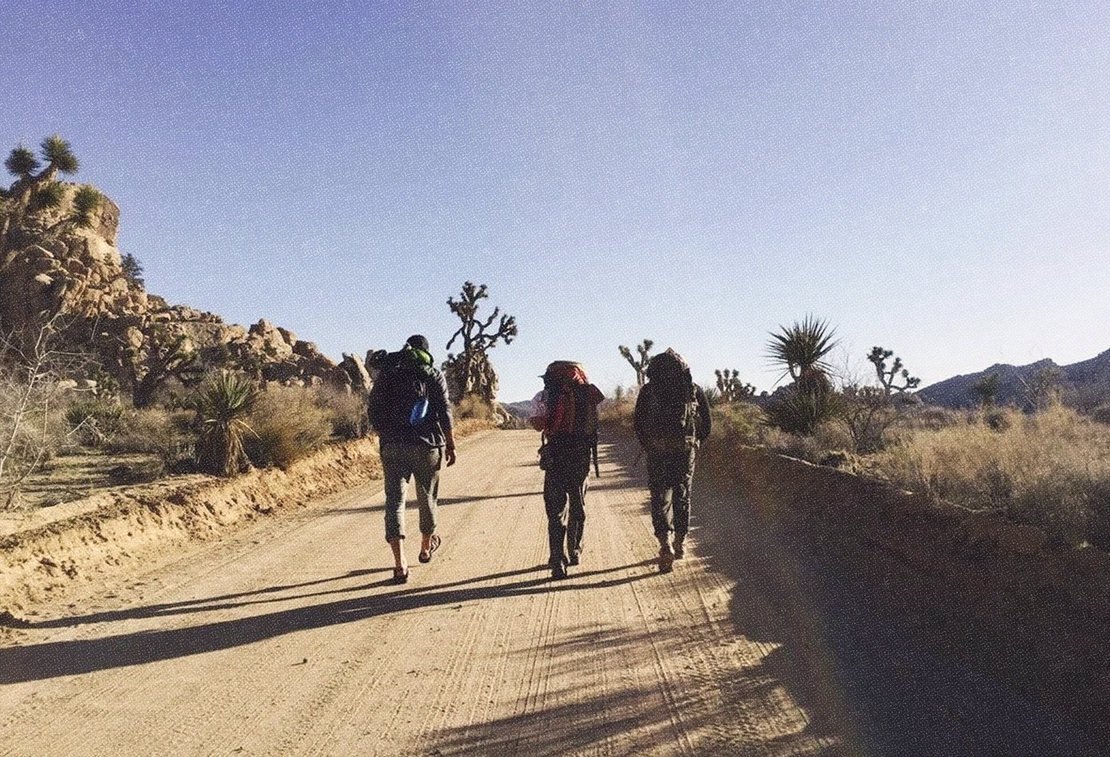 An image of three backpackers walking ahead on a dirt path in Joshua Tree National Park on a blue sky day.