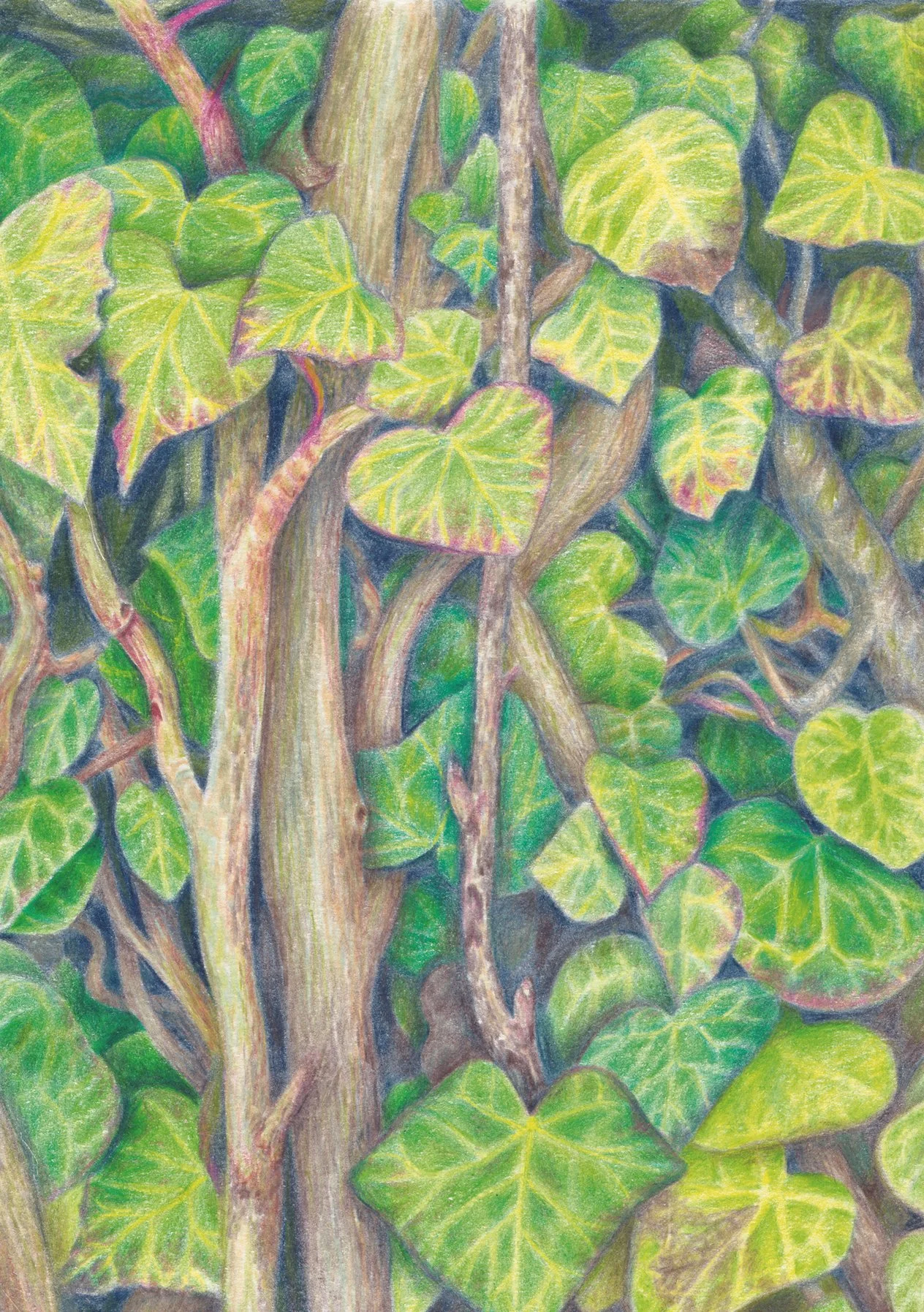 IvyLeaves.jpg
