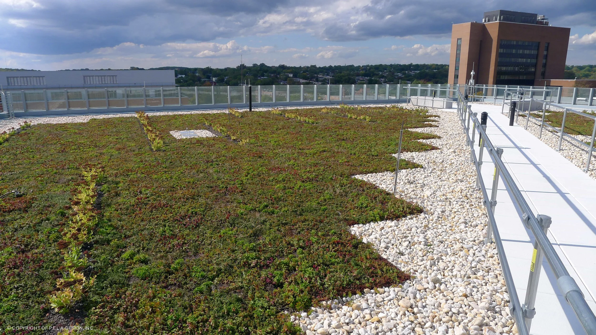 7-Green Roof.jpg