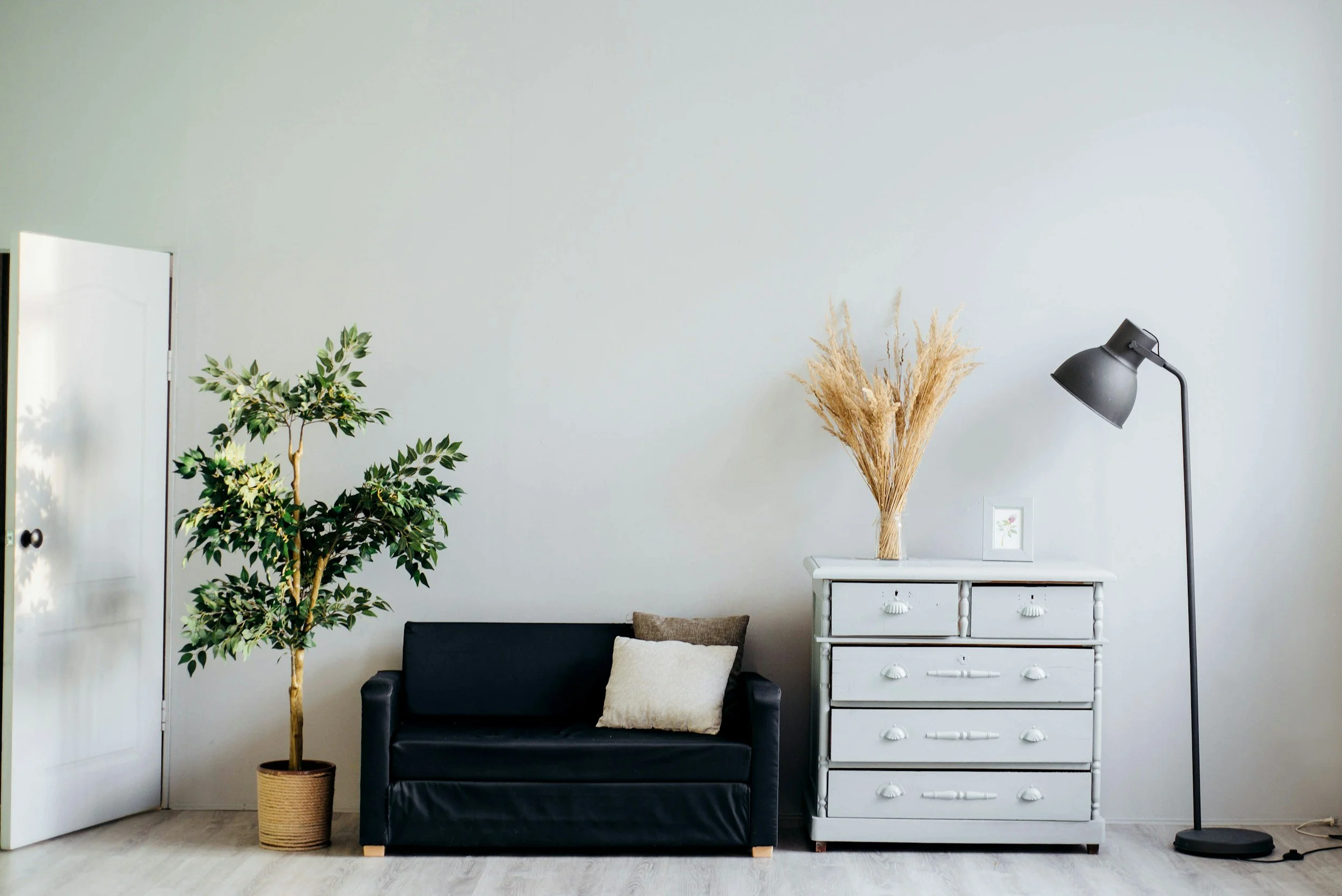 Minimalist living room with a potted green plant, black sofa with pillows, white dresser with dried flowers, framed artwork, and a black floor lamp.