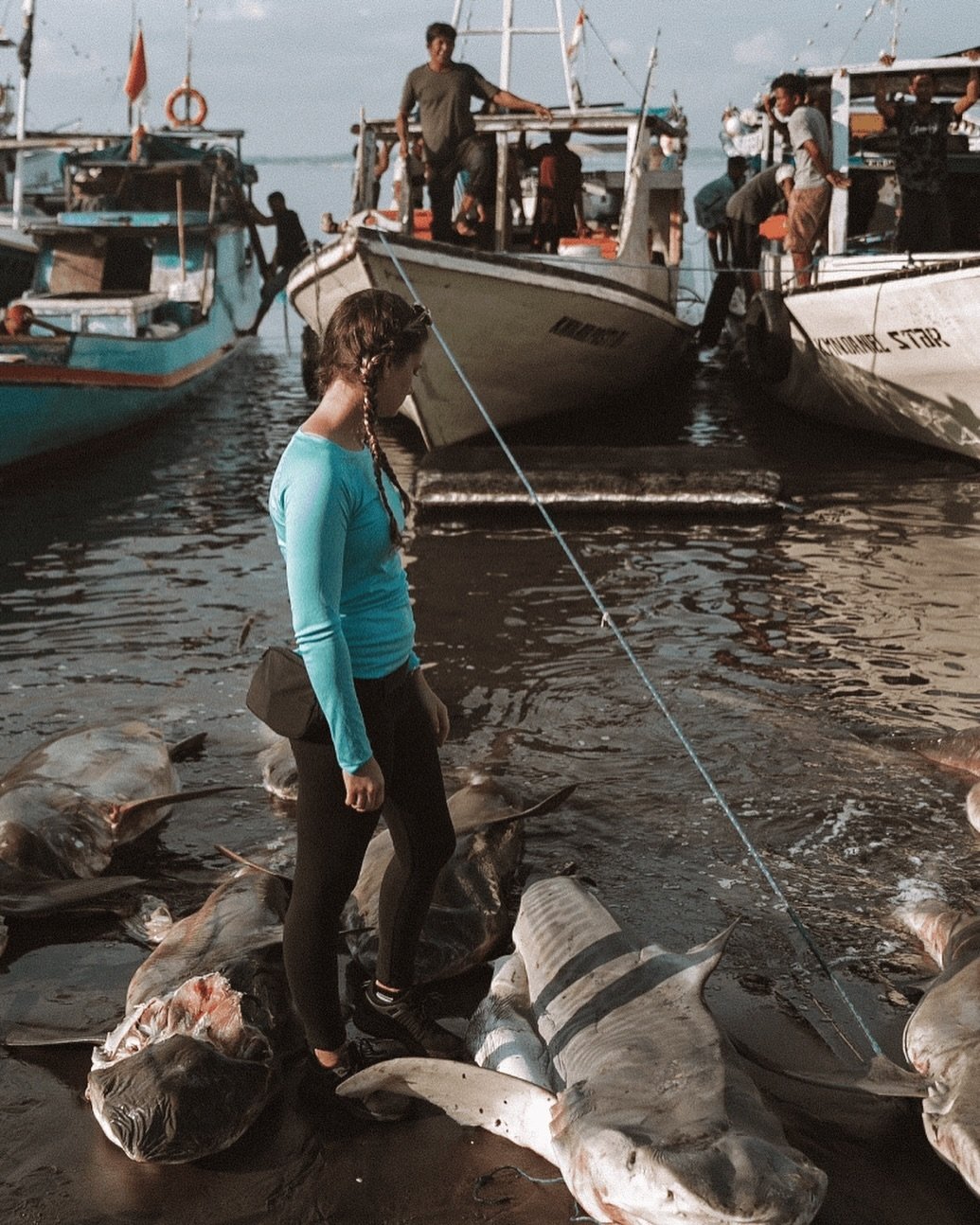 Some of us grow up studying sharks &amp; some of us grew up fishing them. It's when the two work together, that we can really change things. @travelingchels our shark tracking expert visited the market the morning before we went to sea to tag sharks.