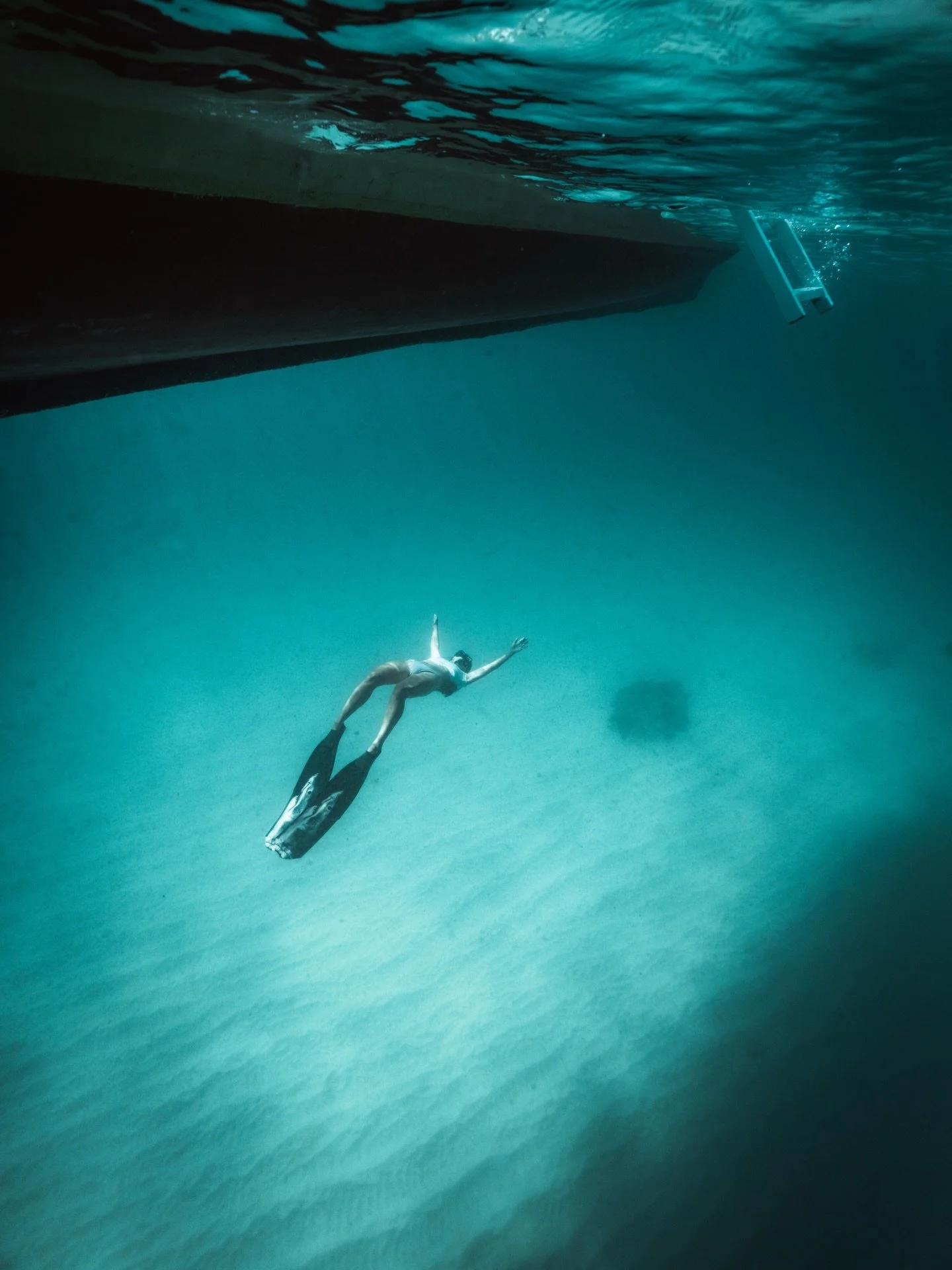 Freediving blades are back in stock... carbon, composite &amp; some new designs! They are always released in limited numbers, get them while you can on our website 🦈 📷 @tannerunderwater