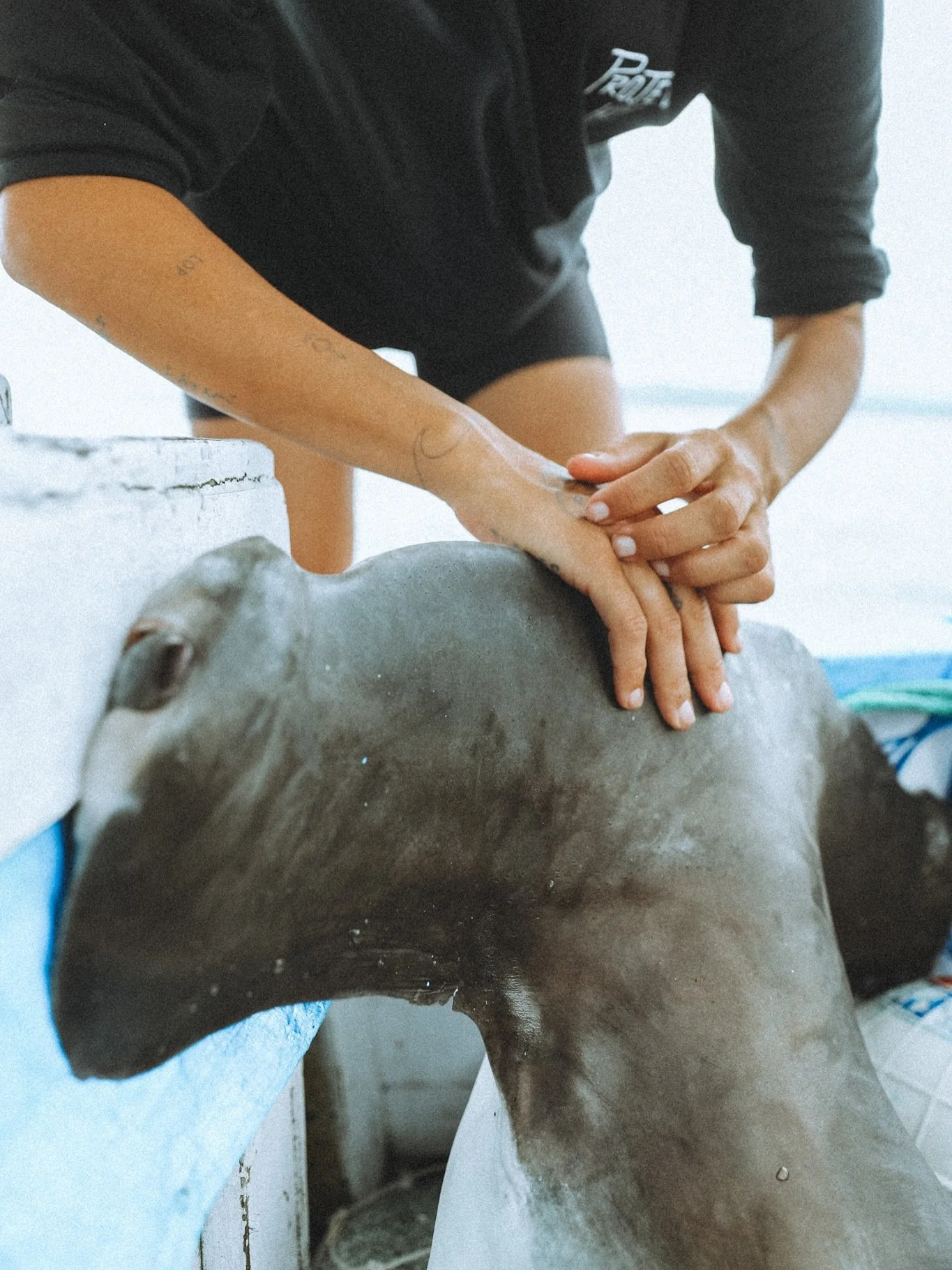 Your daily reminder on your conservation journey, find your path away from the validation of others &amp; remember to never be discouraged by the numbers of a social media following. The world may never see your impact, but the ocean will feel it.