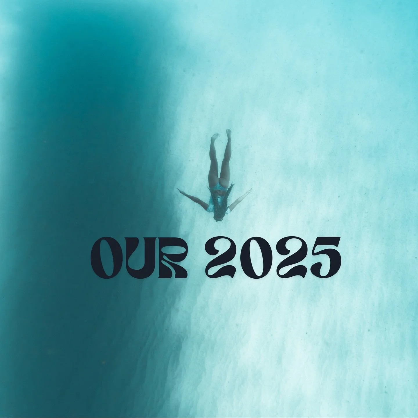 Our year wrapped up 🩵🦈