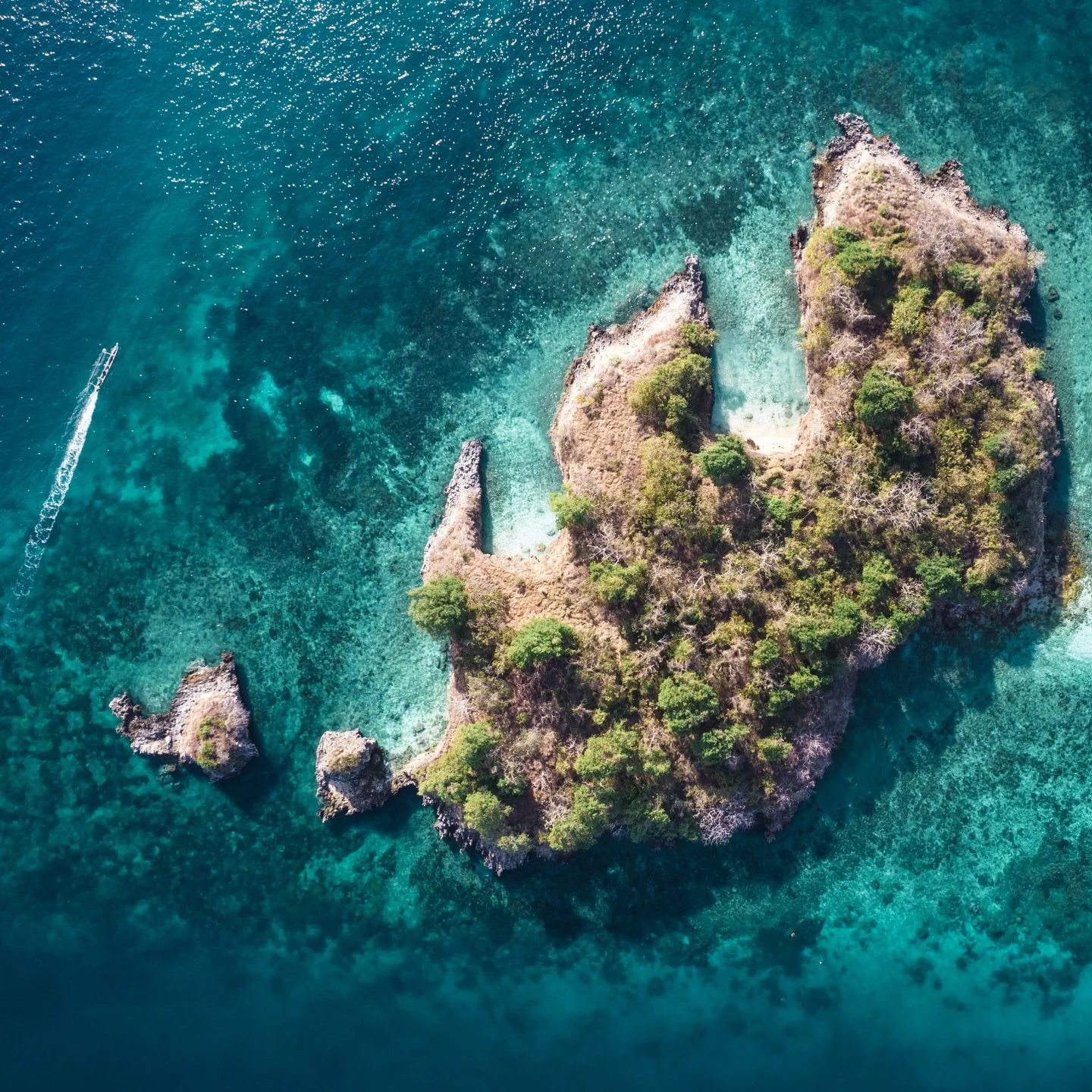 It's been a little rainy lately &amp; we hope everyone in Lombok was safe through the storm! We're still running trips &amp; supporting fishermen, come join our boats for the day 🦈