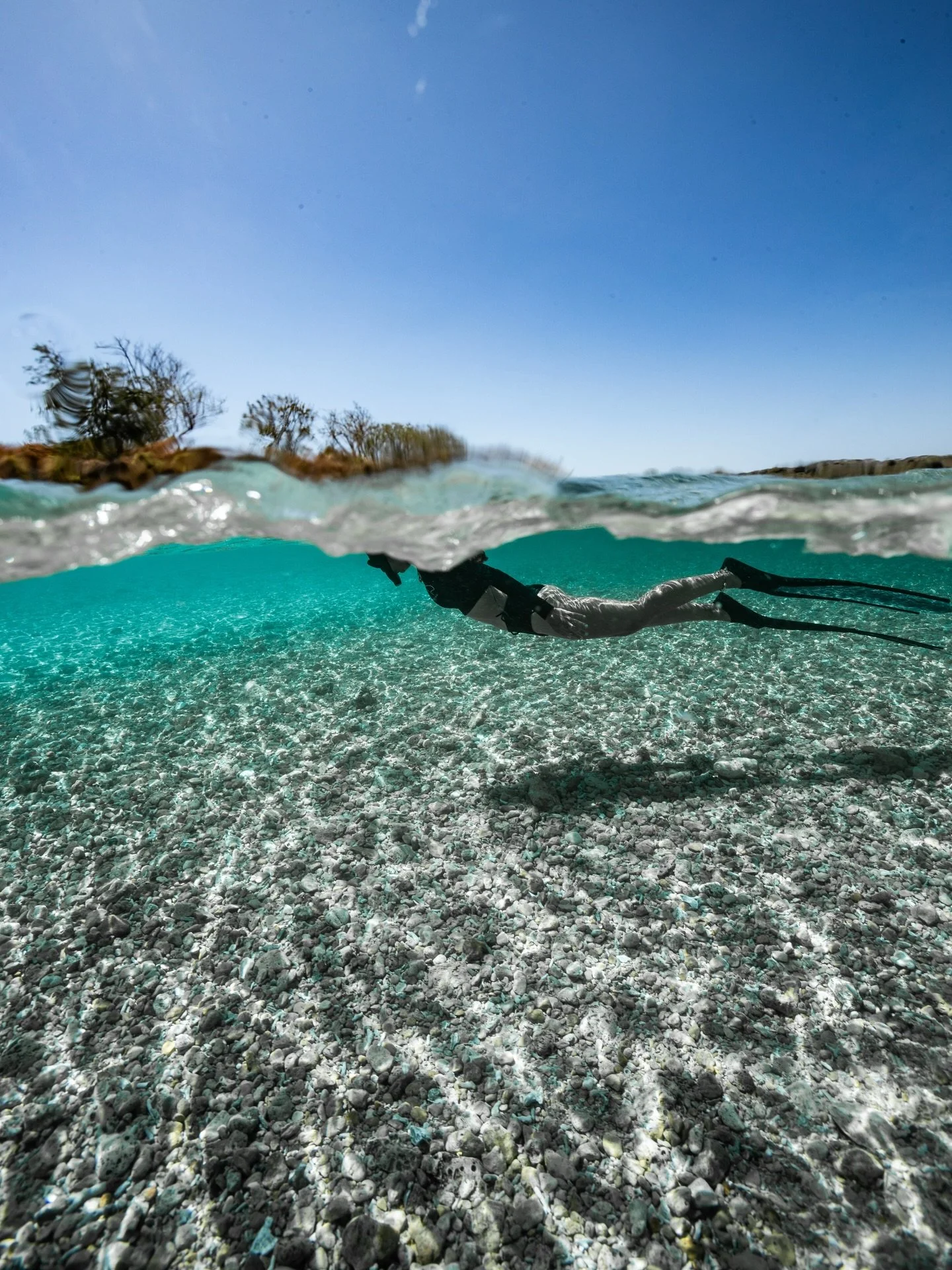 Just shoot a message to our work phone to book your spot on a day trip here in Lombok, help save sharks &amp; see the best parts of the ocean here 🩵