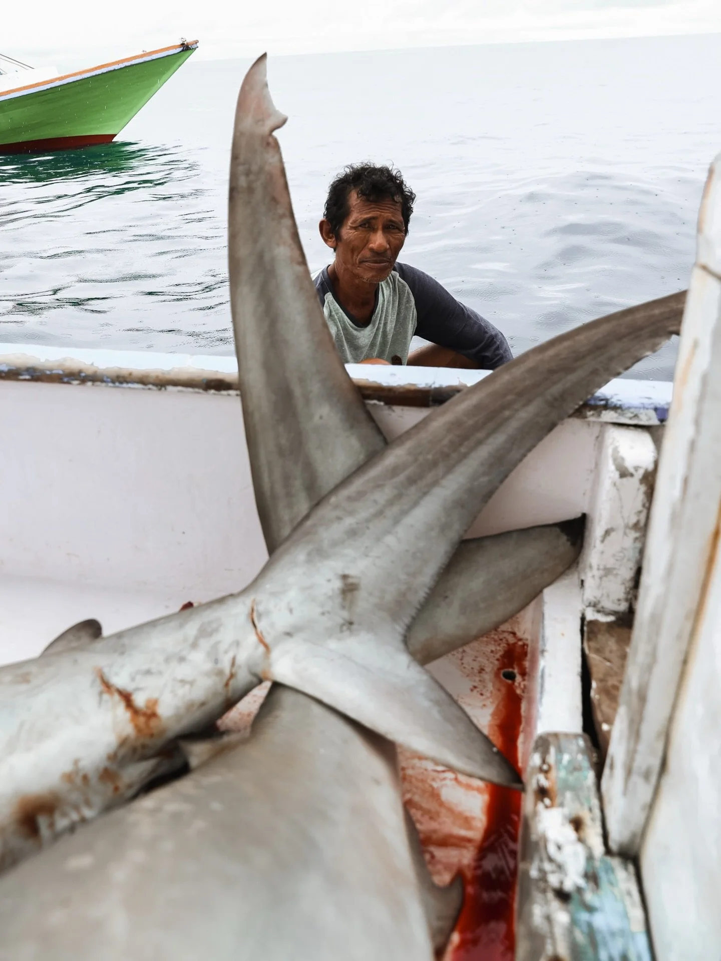 Real conservation isn&rsquo;t always pretty. Sometimes it&rsquo;s working alongside the people destroying the things you love. In places like Indonesia, sharks aren't hunted out of hate, they are caught because families needed food, school fees had t
