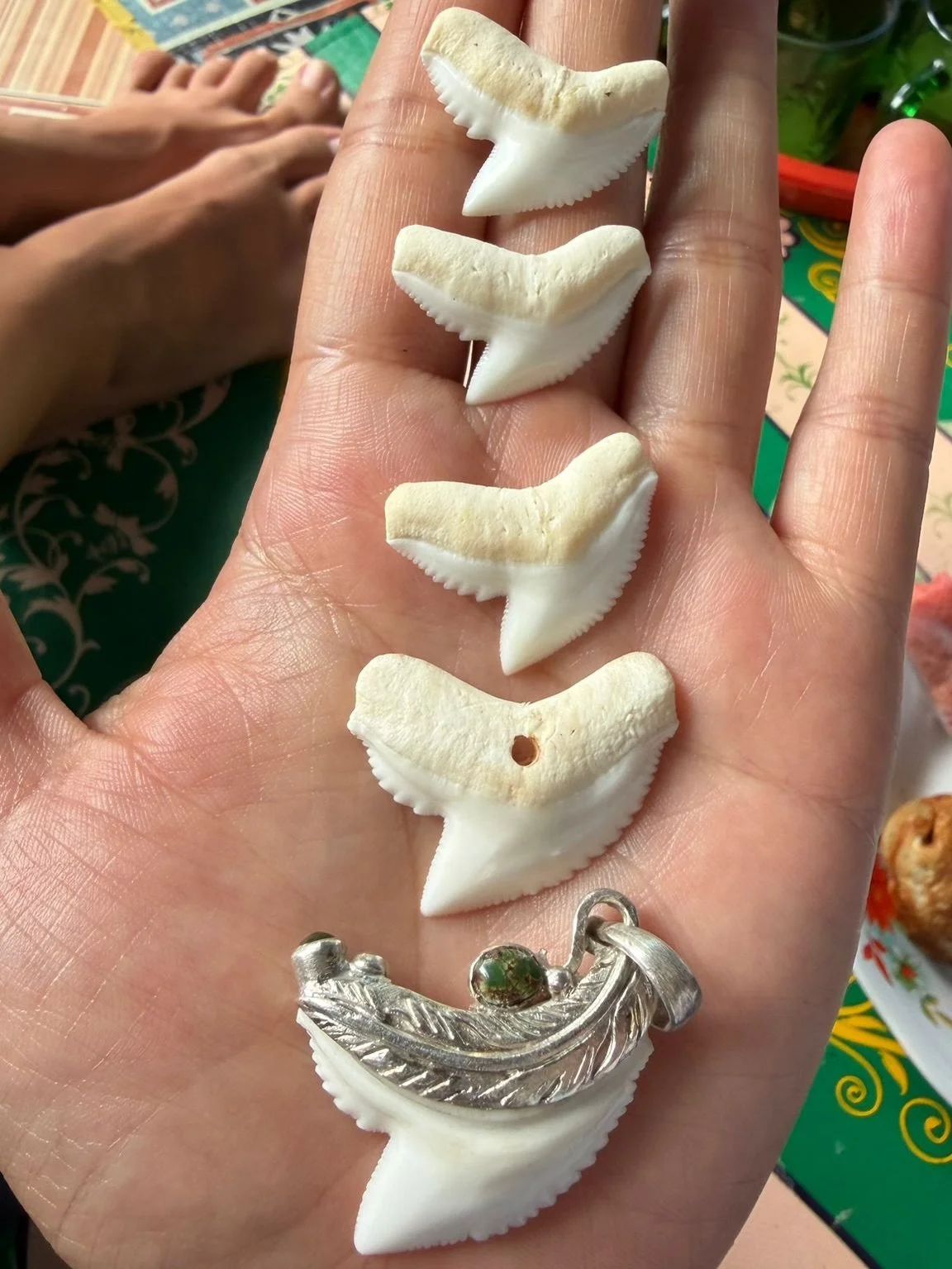 Not your average shark expedition. The next chance to join a trip is May 1-7th, check the link in our bio for more info 🦈